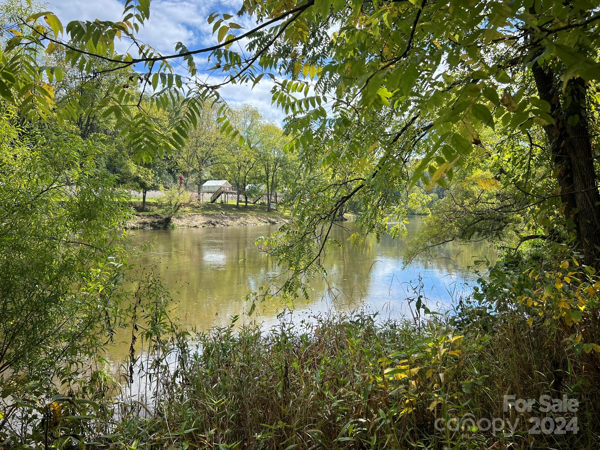1471 Toe River Road Green Mountain, NC 28740 - Photo 11 of 44 a backyard of a house with lots of green space and fog