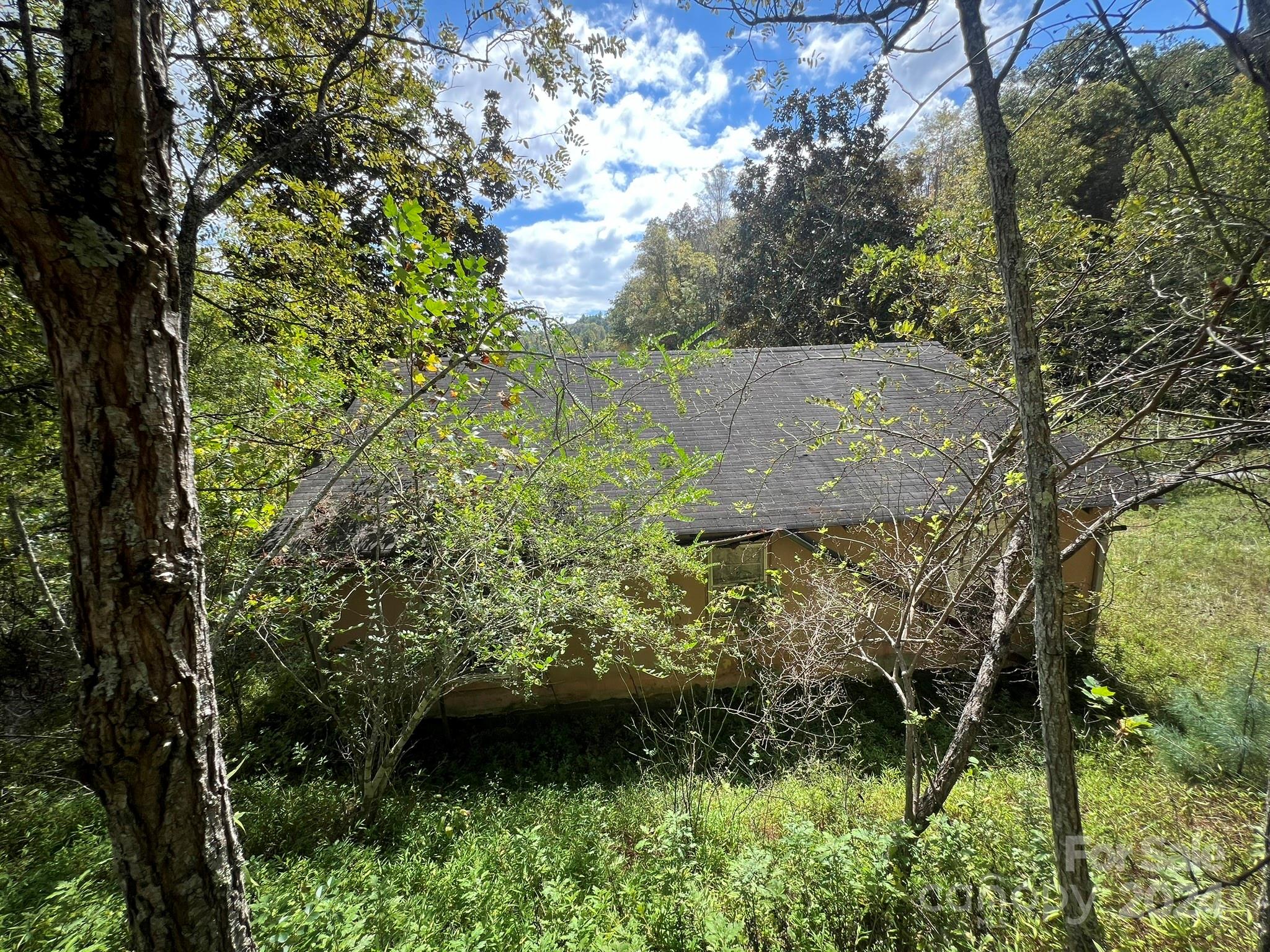 1471 Toe River Road Green Mountain, NC 28740 - Photo 17 of 44 a view of a garden