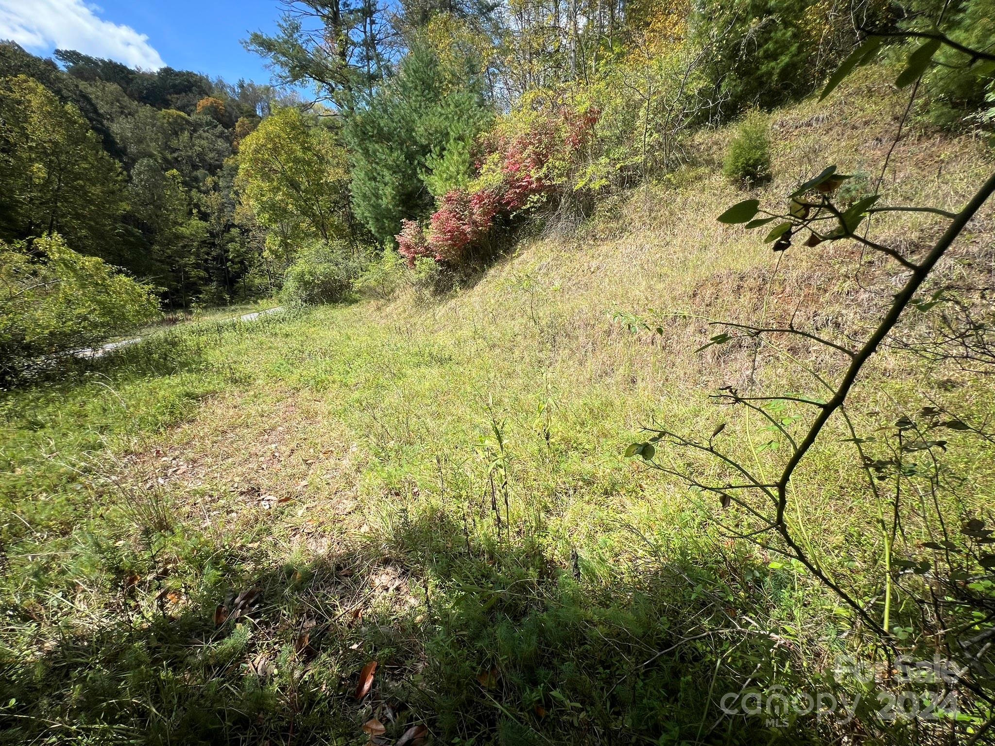 1471 Toe River Road Green Mountain, NC 28740 - Photo 18 of 44 a view of a yard with plants