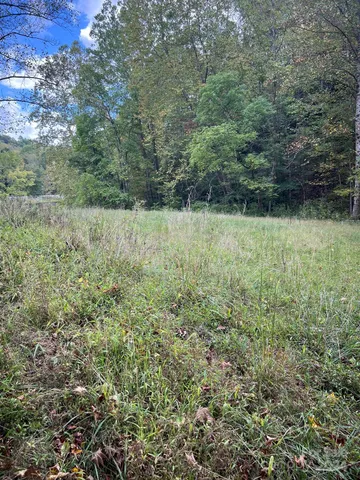 a view of outdoor space and yard