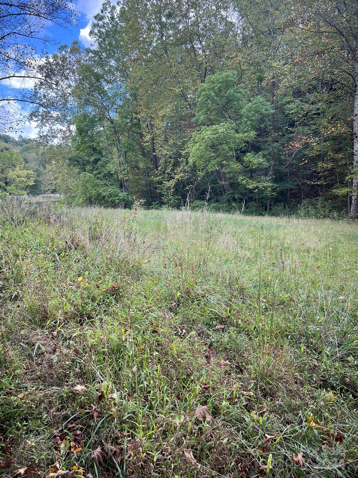 1471 Toe River Road Green Mountain, NC 28740 - Photo 19 of 44 a view of outdoor space and yard