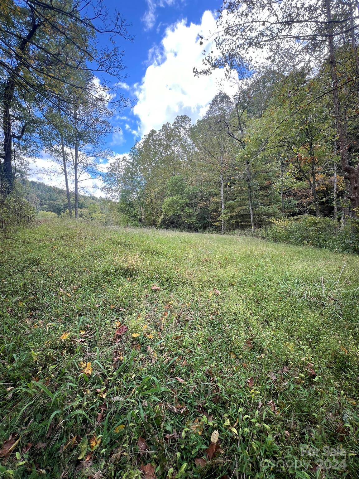 1471 Toe River Road Green Mountain, NC 28740 - Photo 20 of 44 a view of a field with lots of bushes