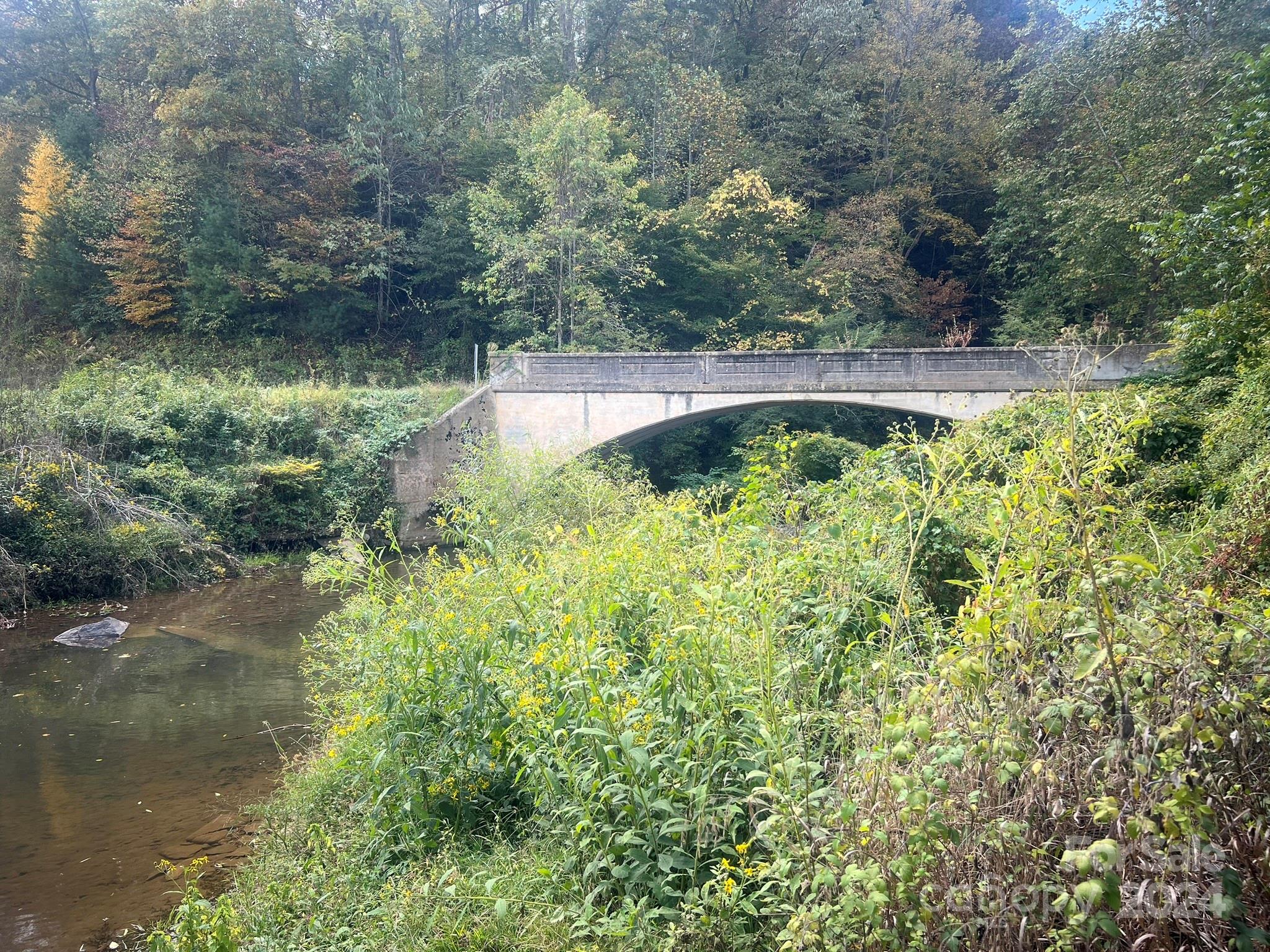 1471 Toe River Road Green Mountain, NC 28740 - Photo 2 of 44 a view of swimming pool with a yard