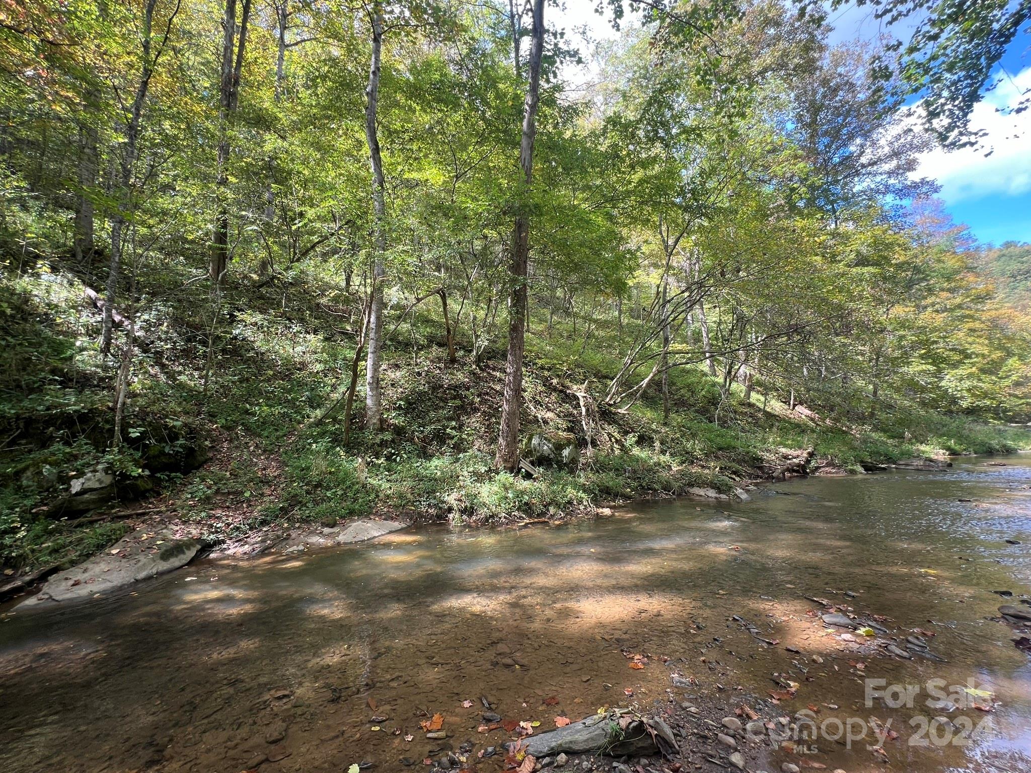 1471 Toe River Road Green Mountain, NC 28740 - Photo 22 of 44 a view of forest
