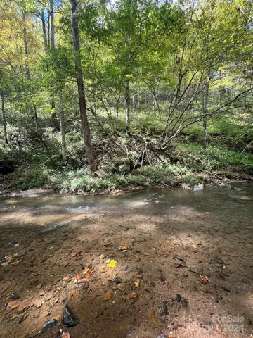 a view of a lake with lots of trees
