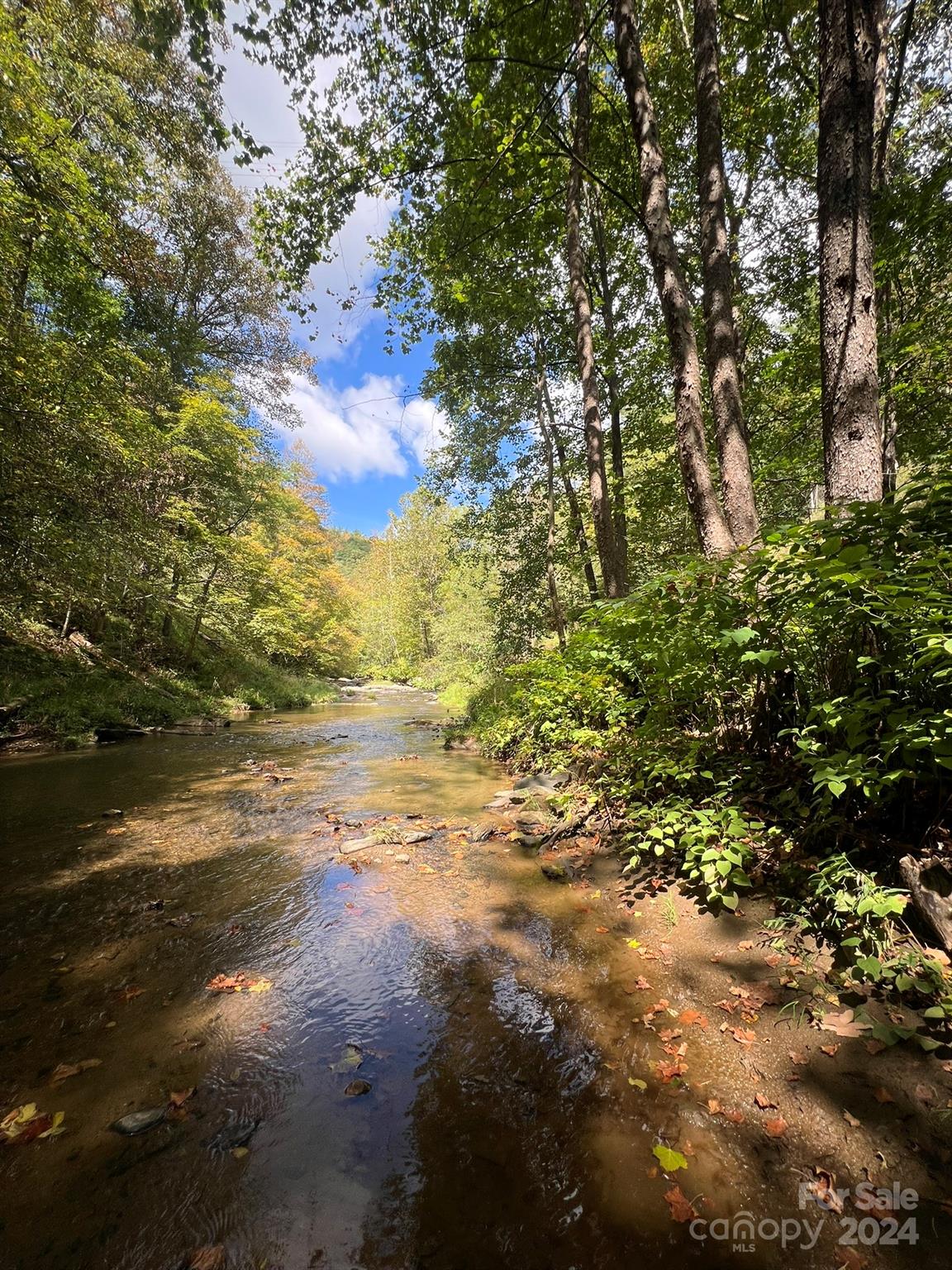 1471 Toe River Road Green Mountain, NC 28740 - Photo 24 of 44 a view of beach and yard