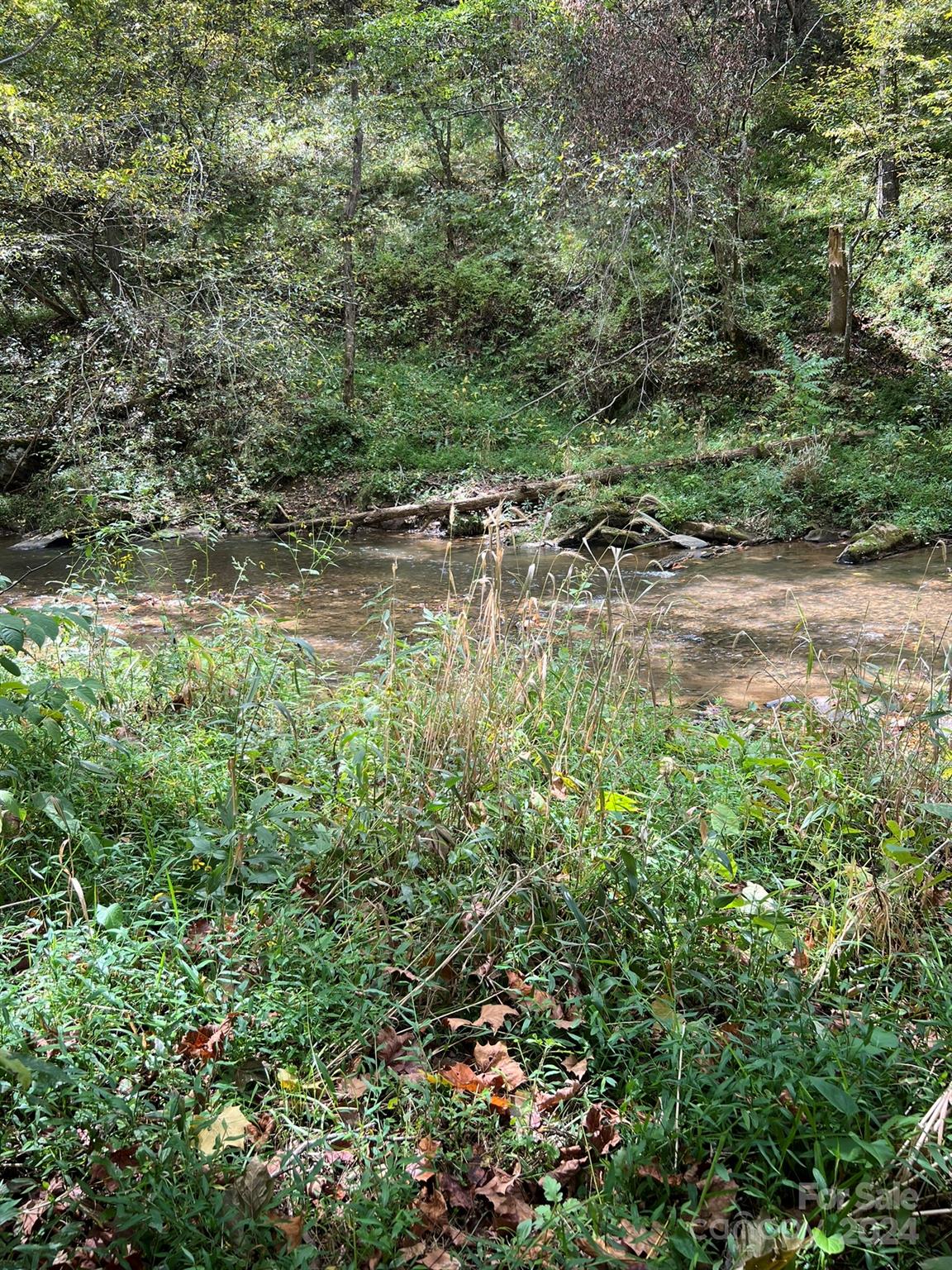 1471 Toe River Road Green Mountain, NC 28740 - Photo 25 of 44 a view of lake with green space