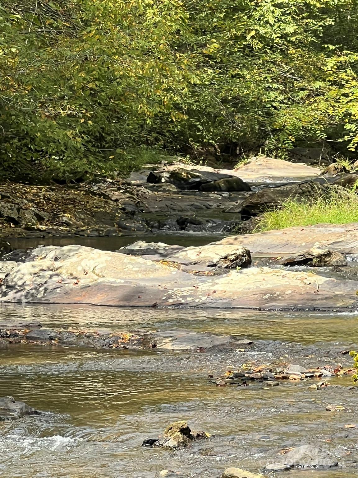1471 Toe River Road Green Mountain, NC 28740 - Photo 27 of 44 a view of ocean view