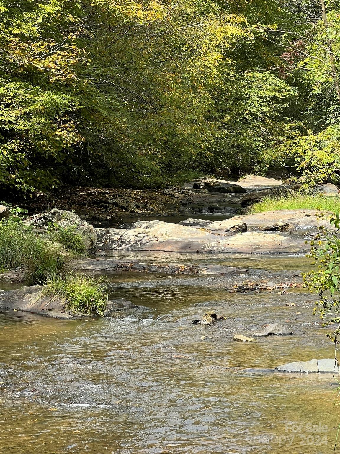 1471 Toe River Road Green Mountain, NC 28740 - Photo 28 of 44