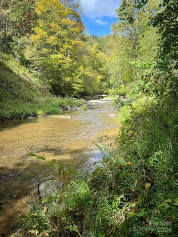 a view of lake view and covered with trees