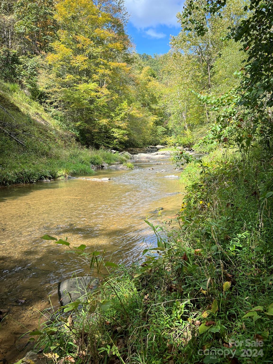 1471 Toe River Road Green Mountain, NC 28740 - Photo 29 of 44 a view of an ocean from a yard