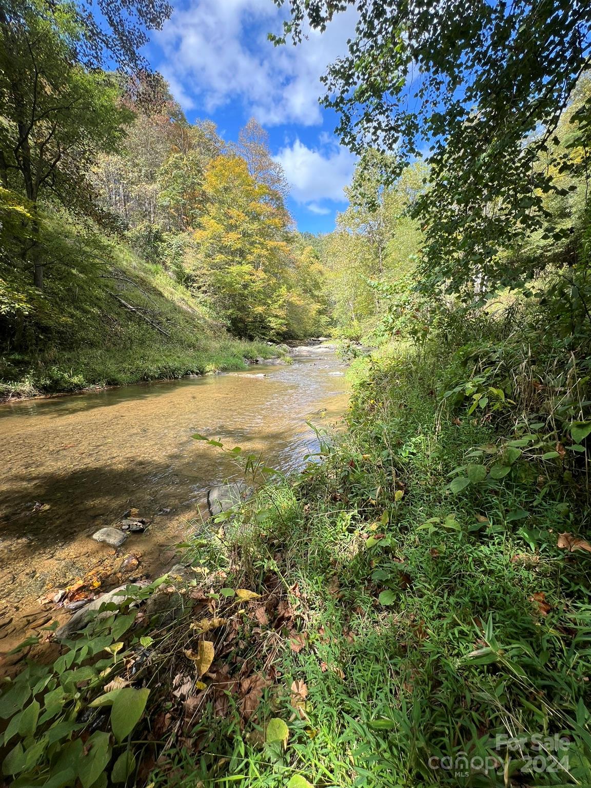 1471 Toe River Road Green Mountain, NC 28740 - Photo 30 of 44 a view of lake view and covered with trees