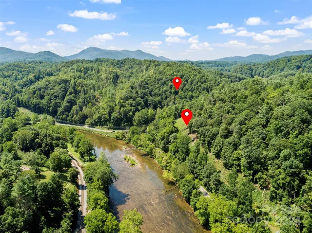 a view of a flower arrangement in a garden