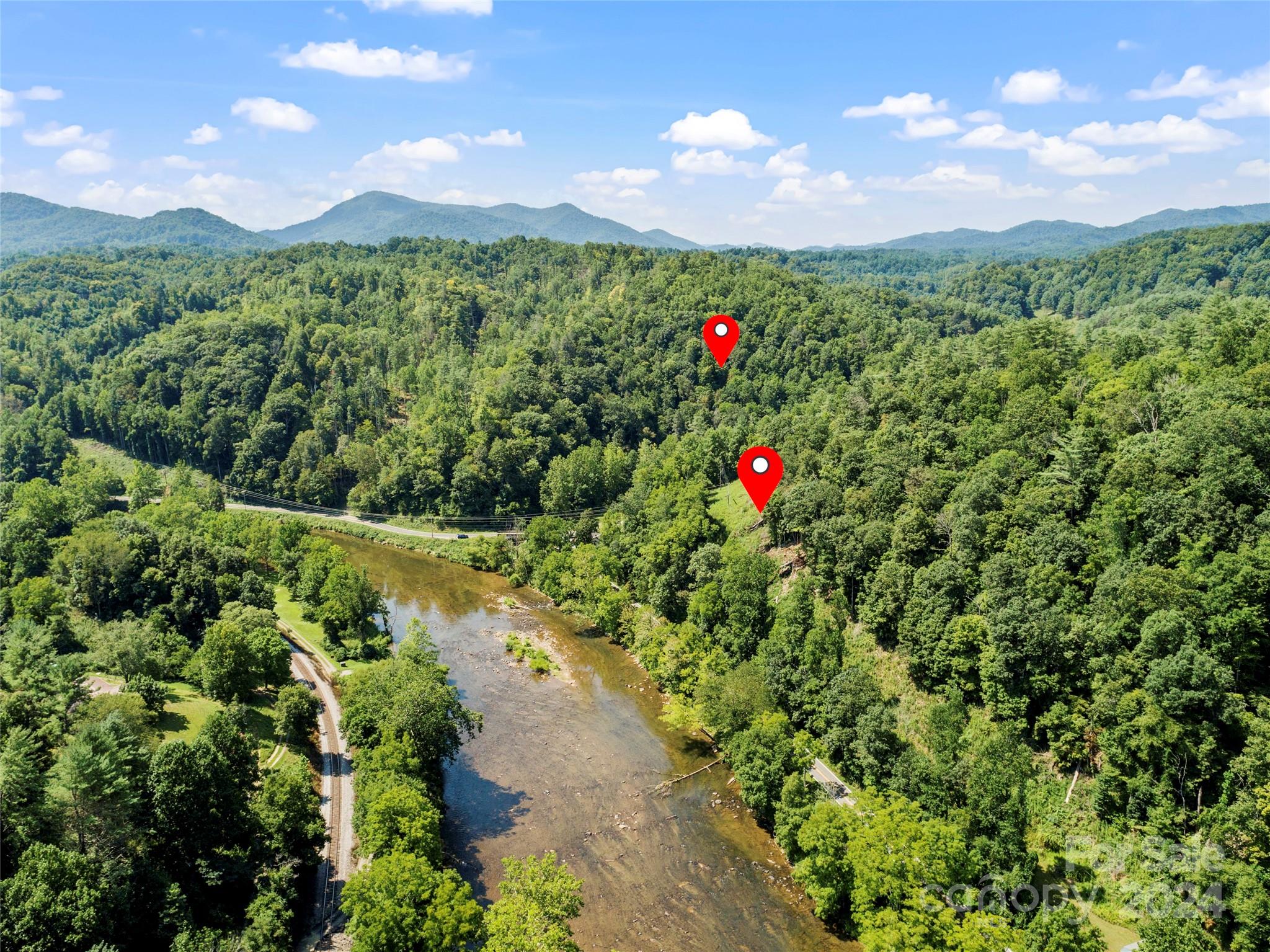 1471 Toe River Road Green Mountain, NC 28740 - Photo 3 of 44 a view of a flower arrangement in a garden