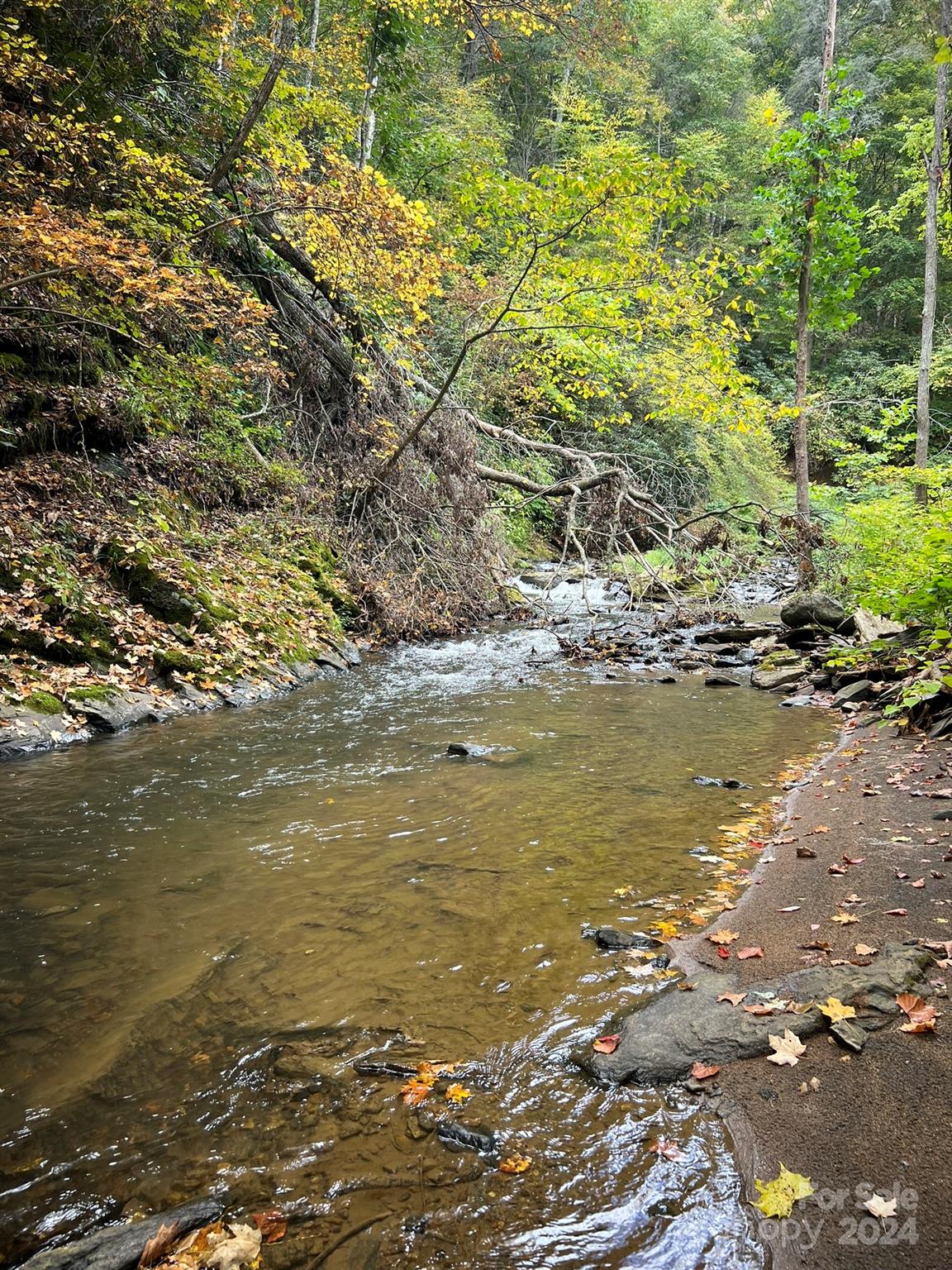 1471 Toe River Road Green Mountain, NC 28740 - Photo 31 of 44 a view of an ocean