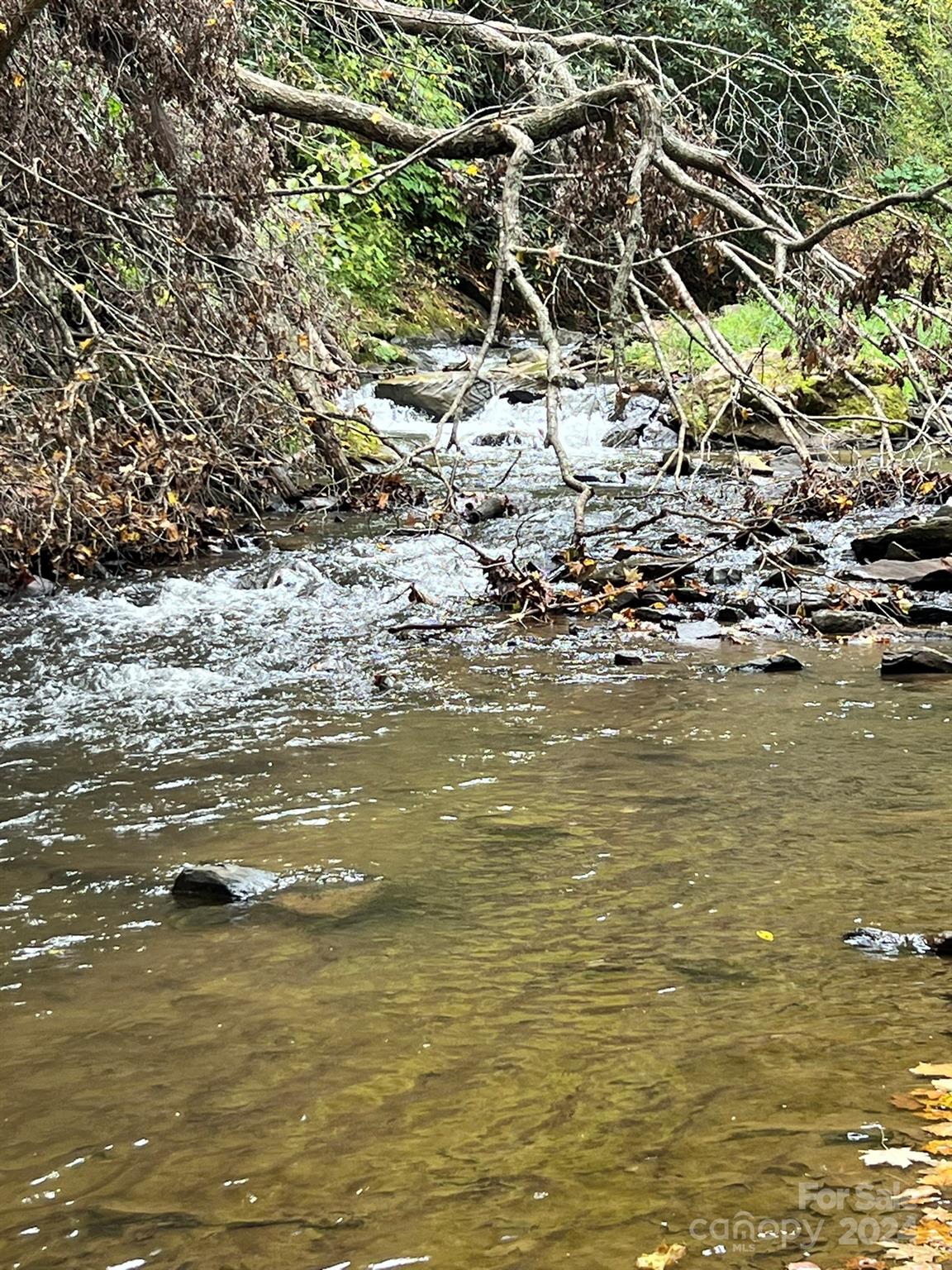 1471 Toe River Road Green Mountain, NC 28740 - Photo 32 of 44 a view of ocean view