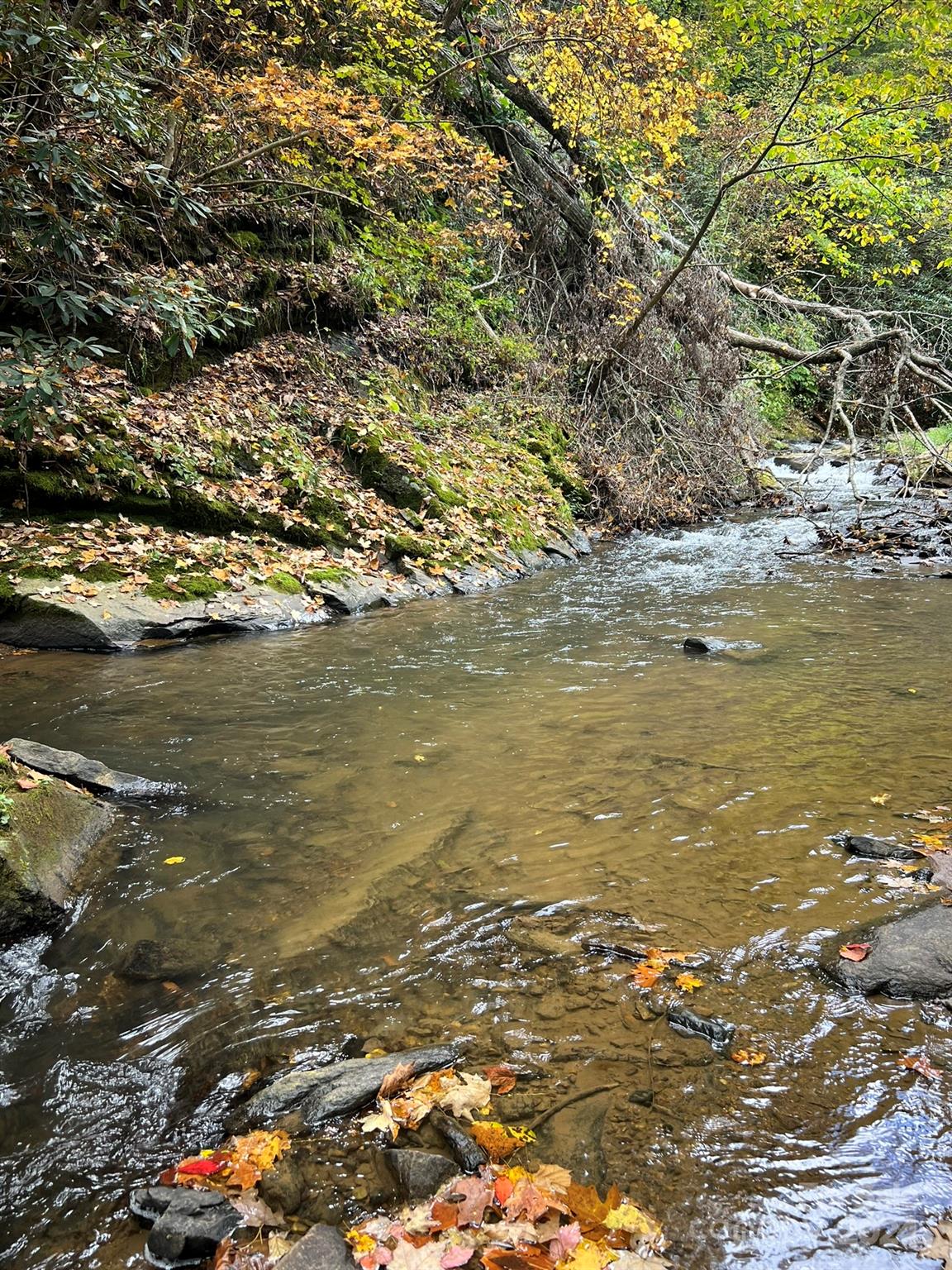 1471 Toe River Road Green Mountain, NC 28740 - Photo 33 of 44