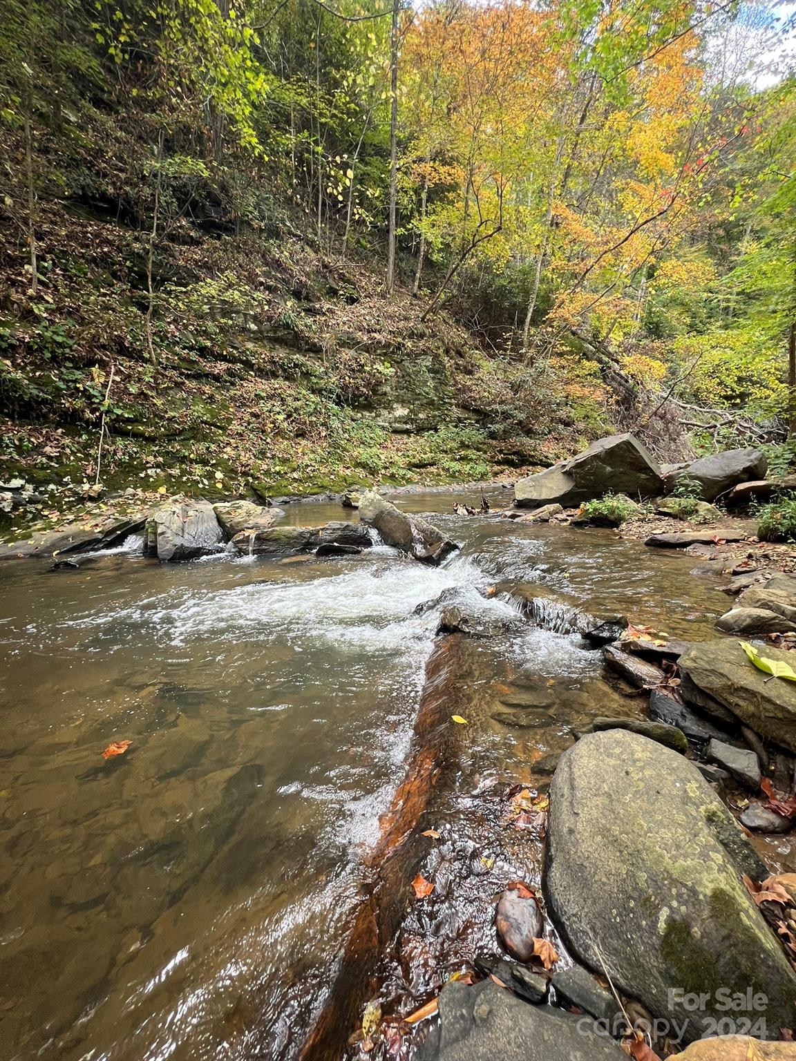 1471 Toe River Road Green Mountain, NC 28740 - Photo 34 of 44 a view of lake view