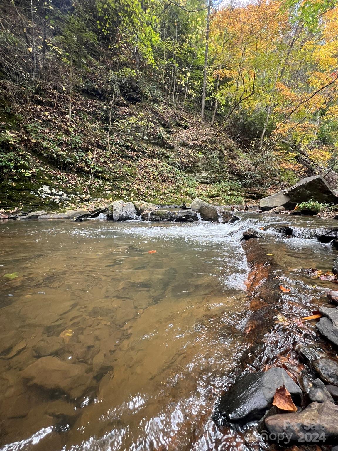 1471 Toe River Road Green Mountain, NC 28740 - Photo 35 of 44 a view of ocean view with beach