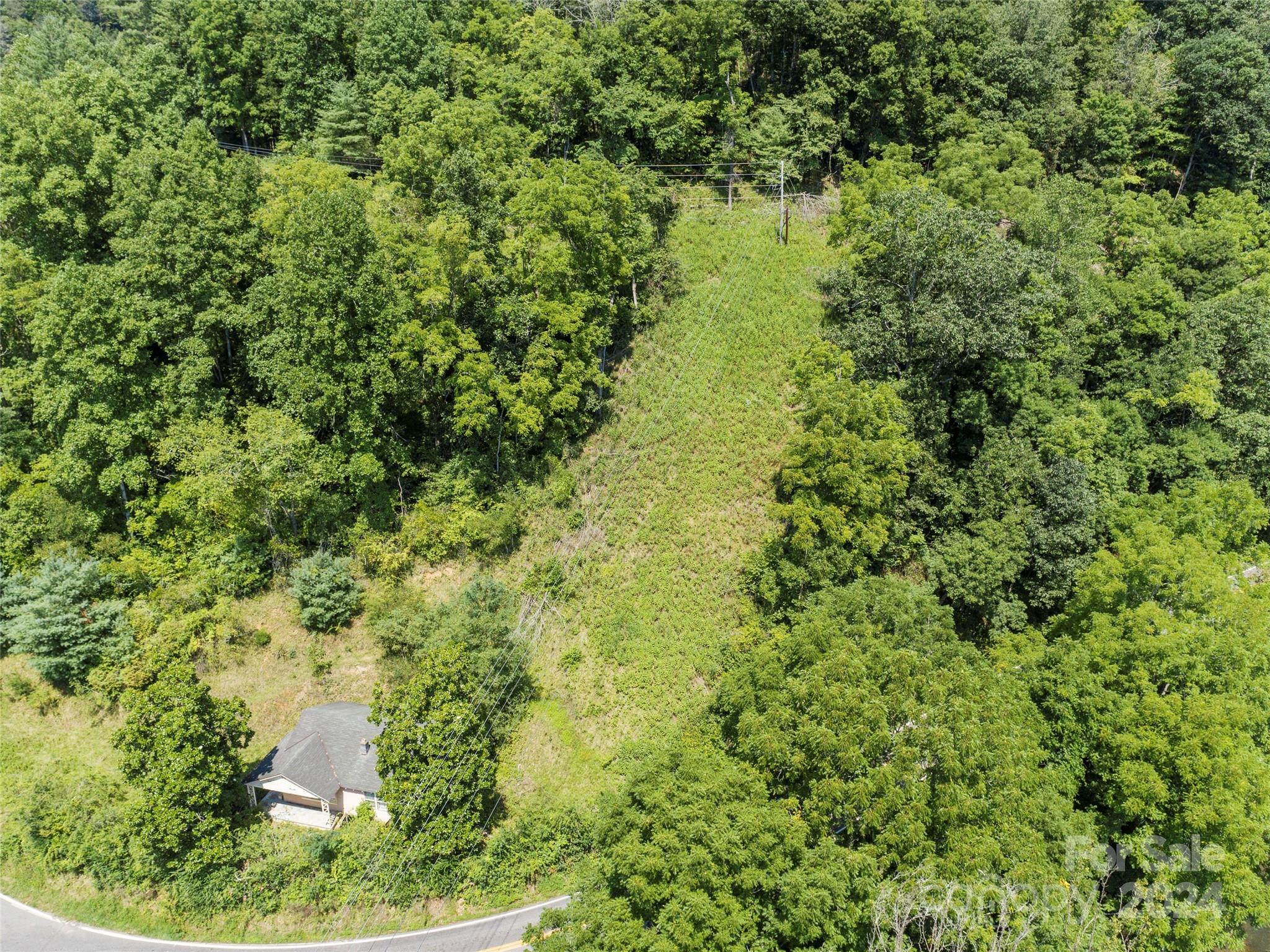 1471 Toe River Road Green Mountain, NC 28740 - Photo 38 of 44 a view of a garden