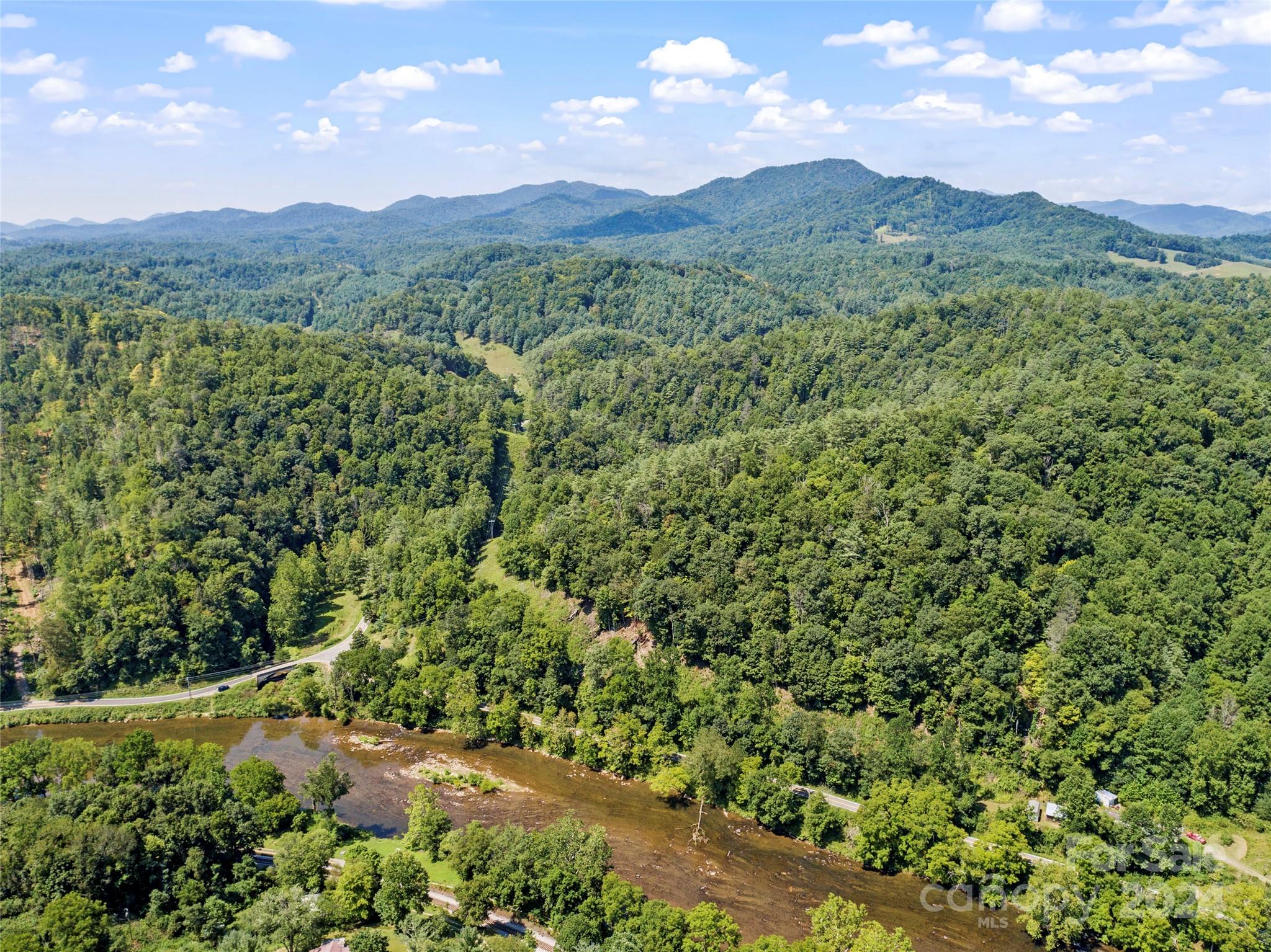 1471 Toe River Road Green Mountain, NC 28740 - Photo 42 of 44 a view of a lush green forest with mountains in the background
