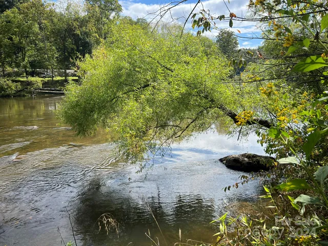 a view of a lake in between large trees