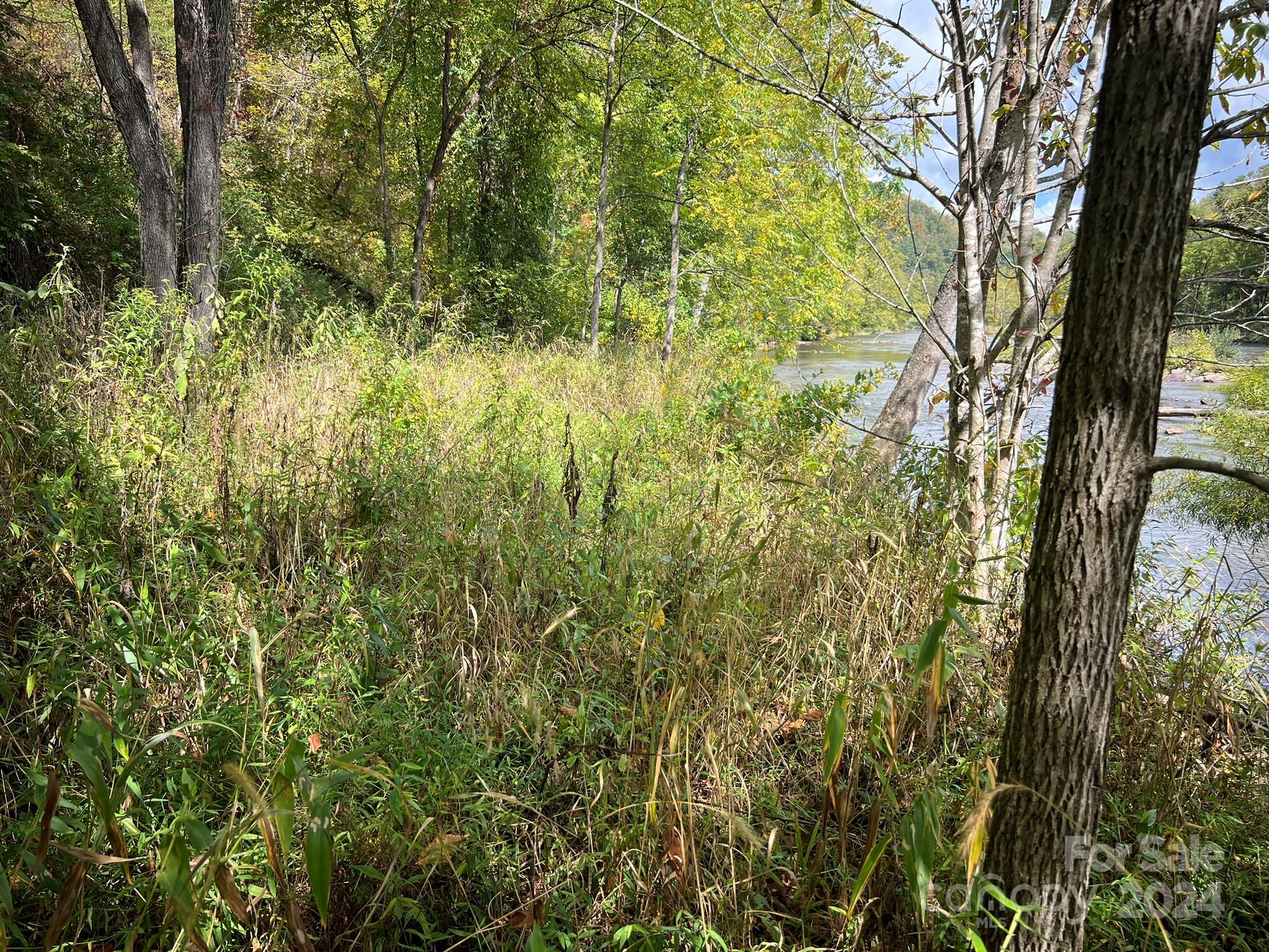 1471 Toe River Road Green Mountain, NC 28740 - Photo 8 of 44 a view of a yard