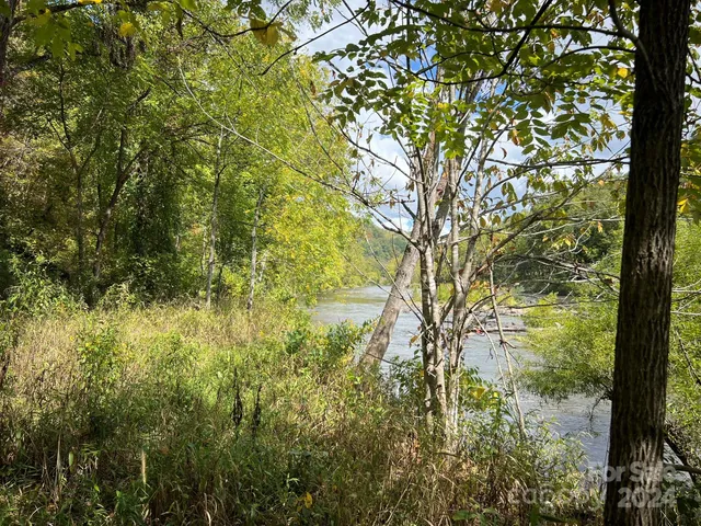 a view of a yard with large trees