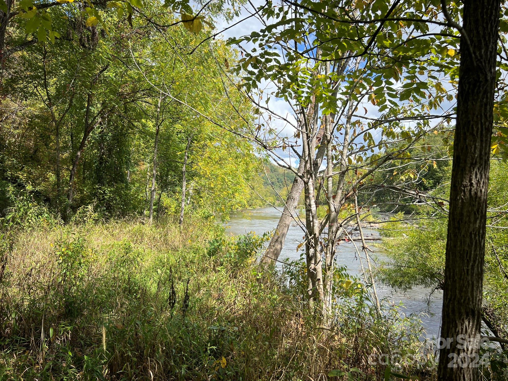 1471 Toe River Road Green Mountain, NC 28740 - Photo 9 of 44 a view of a yard with large trees