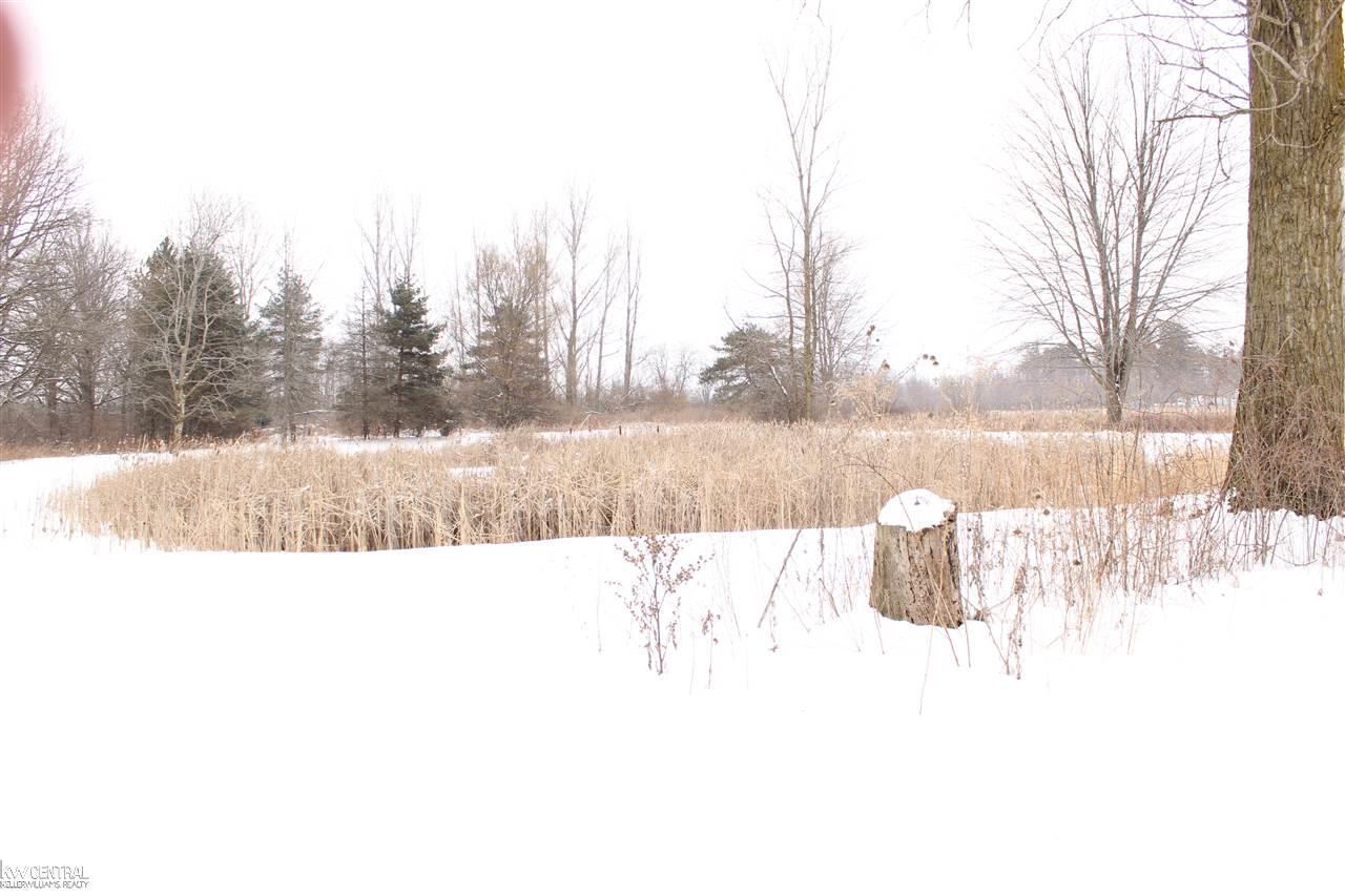 22717 Armada Center Road Armada, MI 48005 - Photo 17 of 19