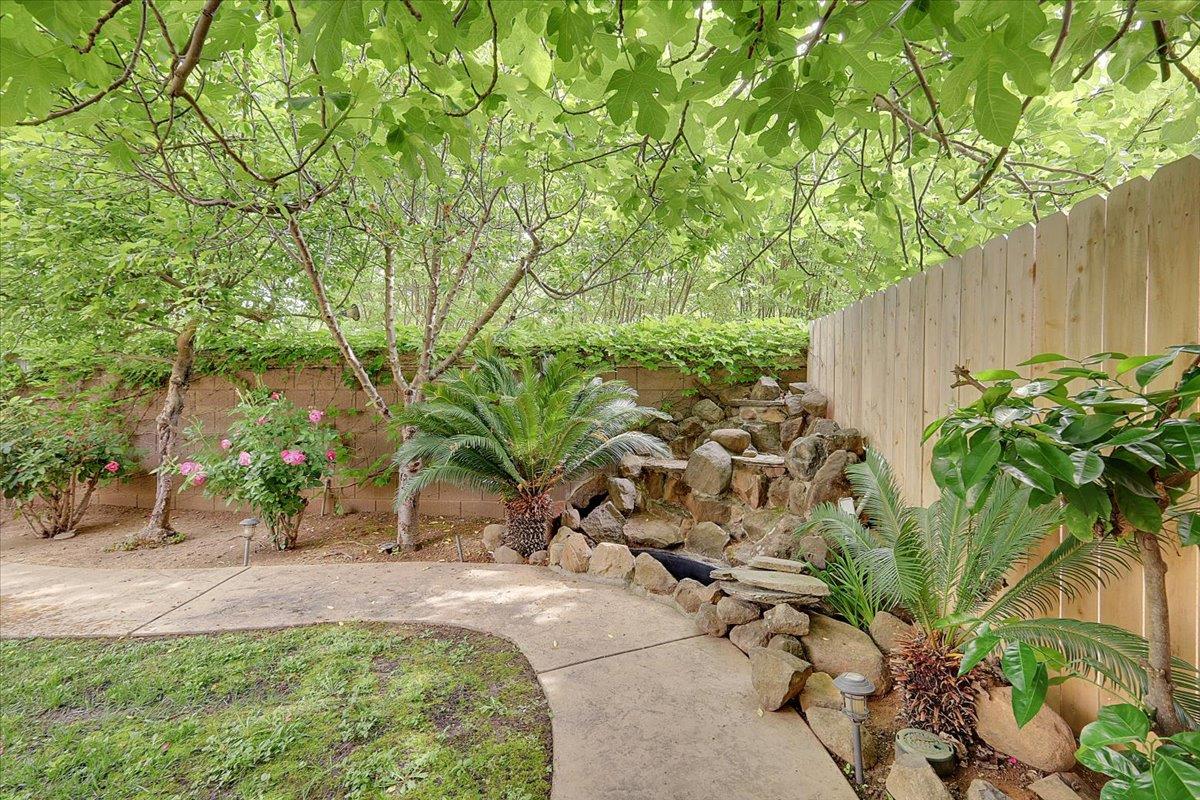10022 Spring View Way Elk Grove, CA 95757 - Photo 29 of 54 Waterfall