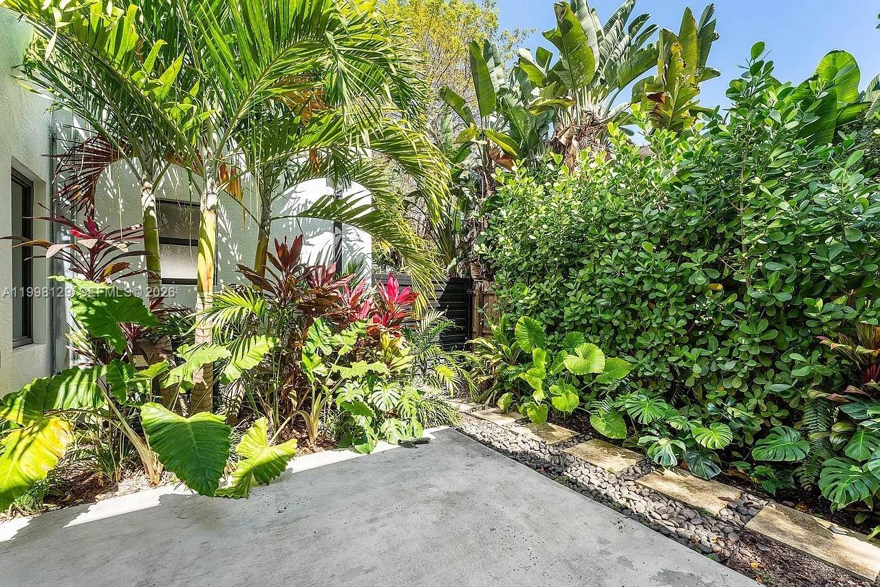 445 Northeast 76th Street Miami, FL 33138 - Photo 59 of 63 a picture of a tree