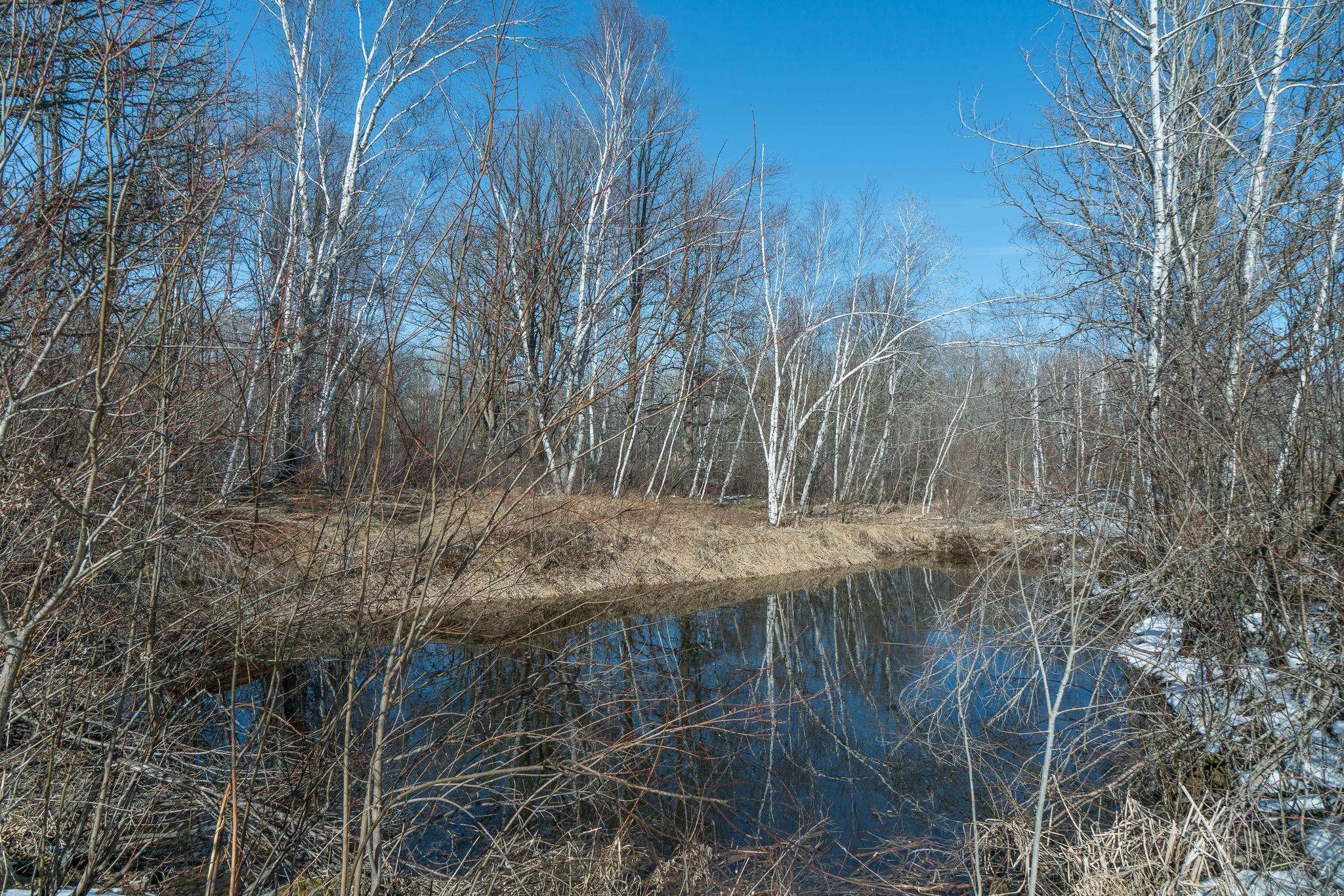 51899 Sand Creek Road Bruno, MN 55712 - Photo 9 of 32