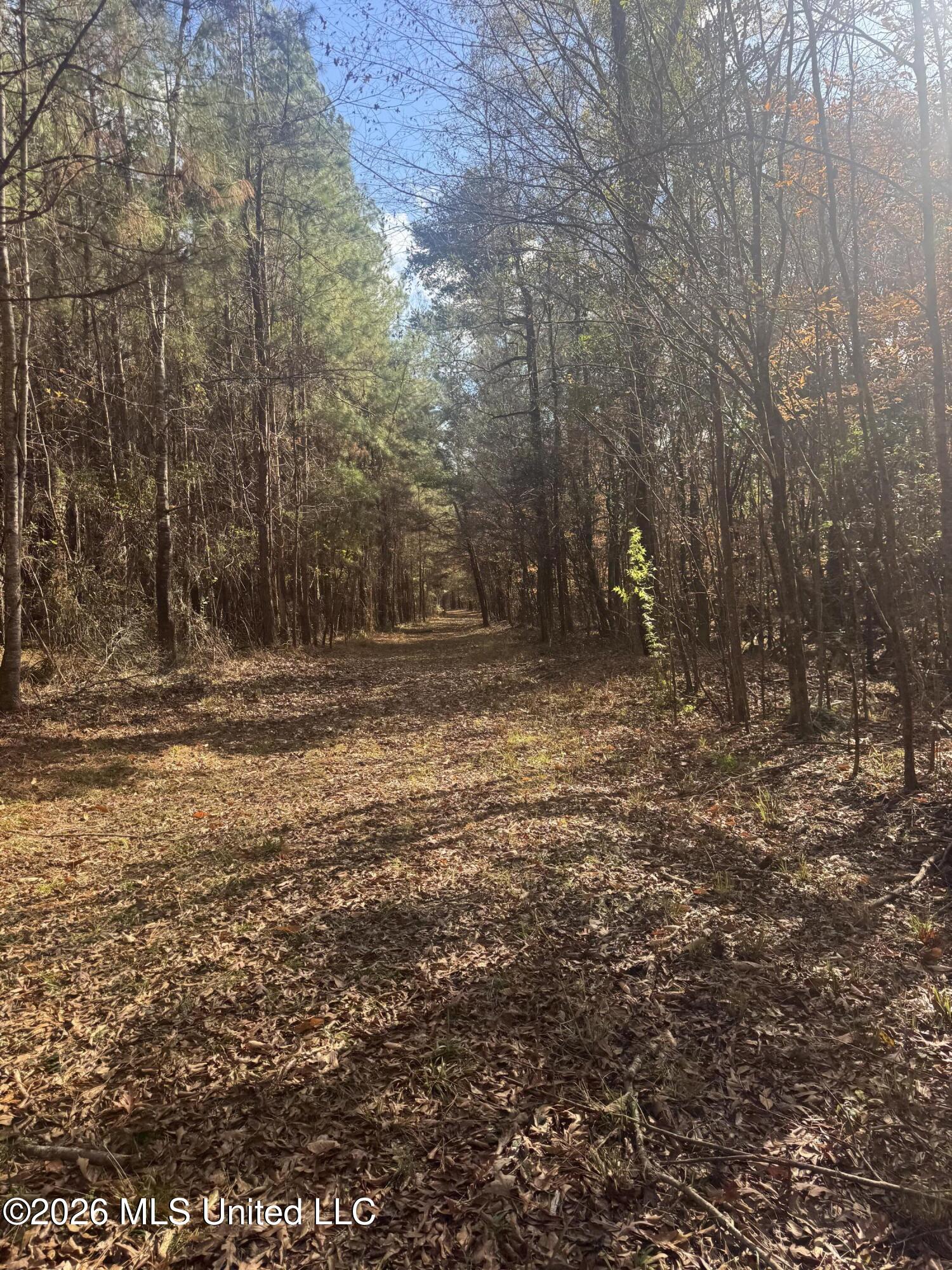 Mckenzie Road Tylertown, MS 39667 - Photo 20 of 50 20