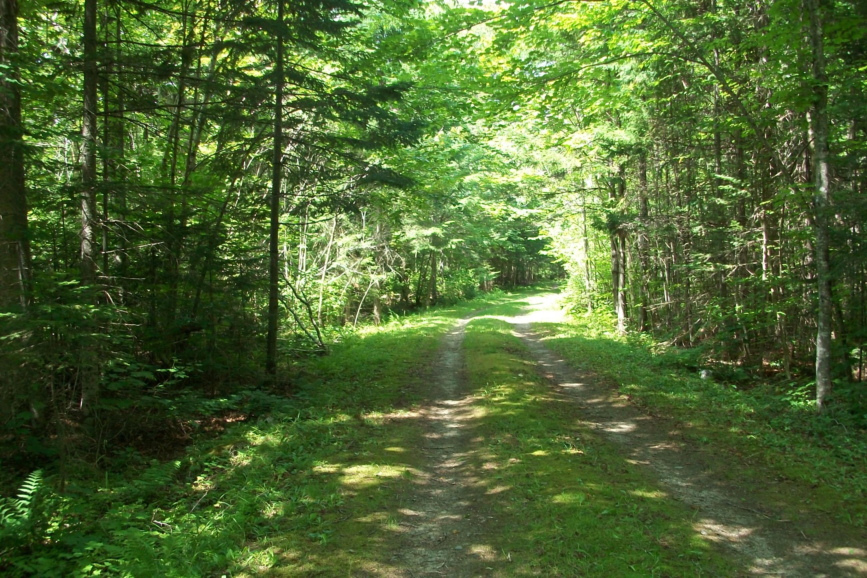 28 Moose Road North Oquossoc, ME 04964 - Photo 2 of 28 008