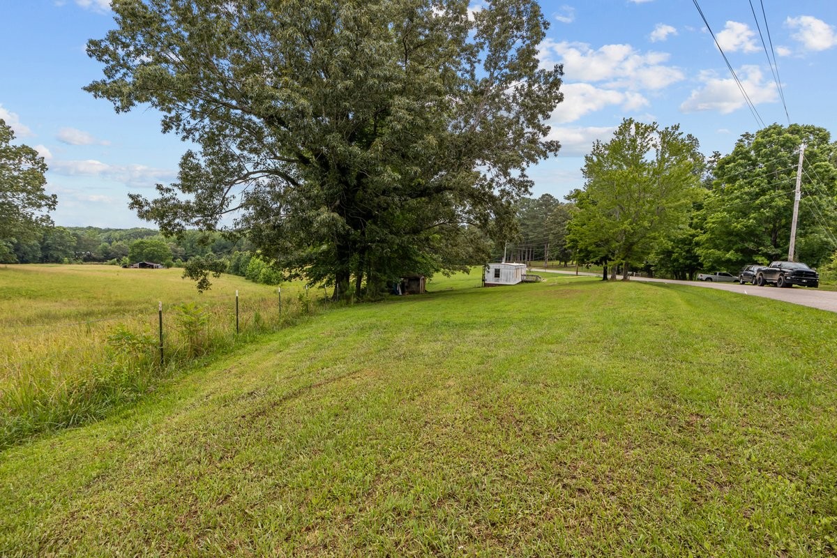 6495 Divider And Natchez Trace Road Camden, TN 38320 - Photo 26 of 31 a view of a field with an trees in front of it