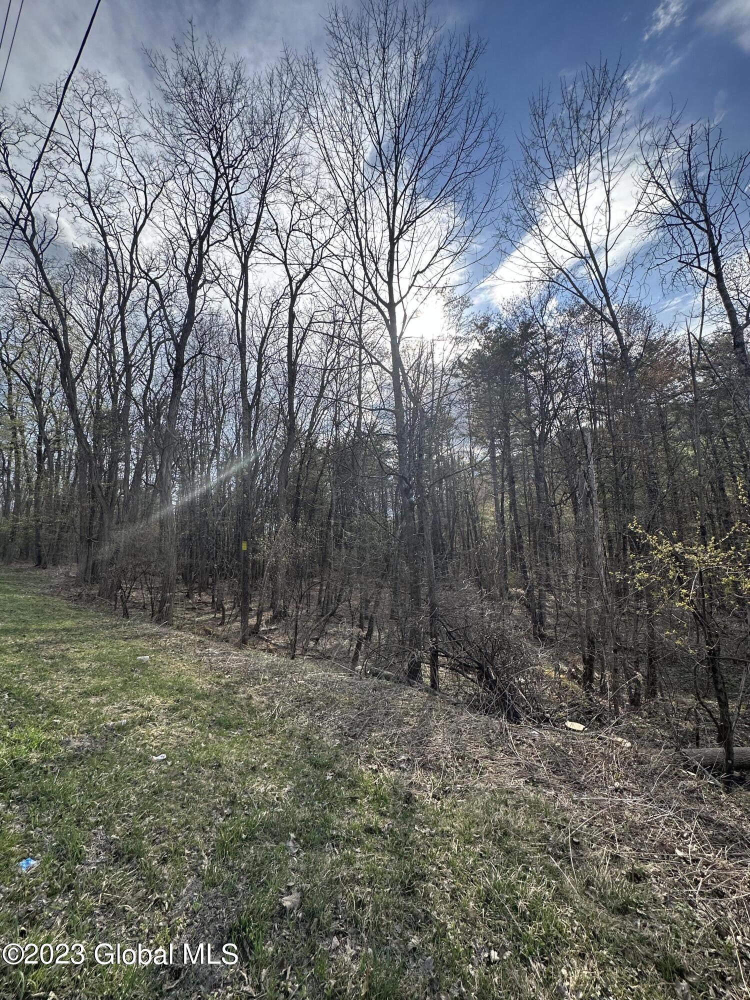 L3 Lower Road Middleburgh, NY 12122 - Photo 1 of 8 3625630B-29EA-4BB6-B661-2ADFC105C8B4