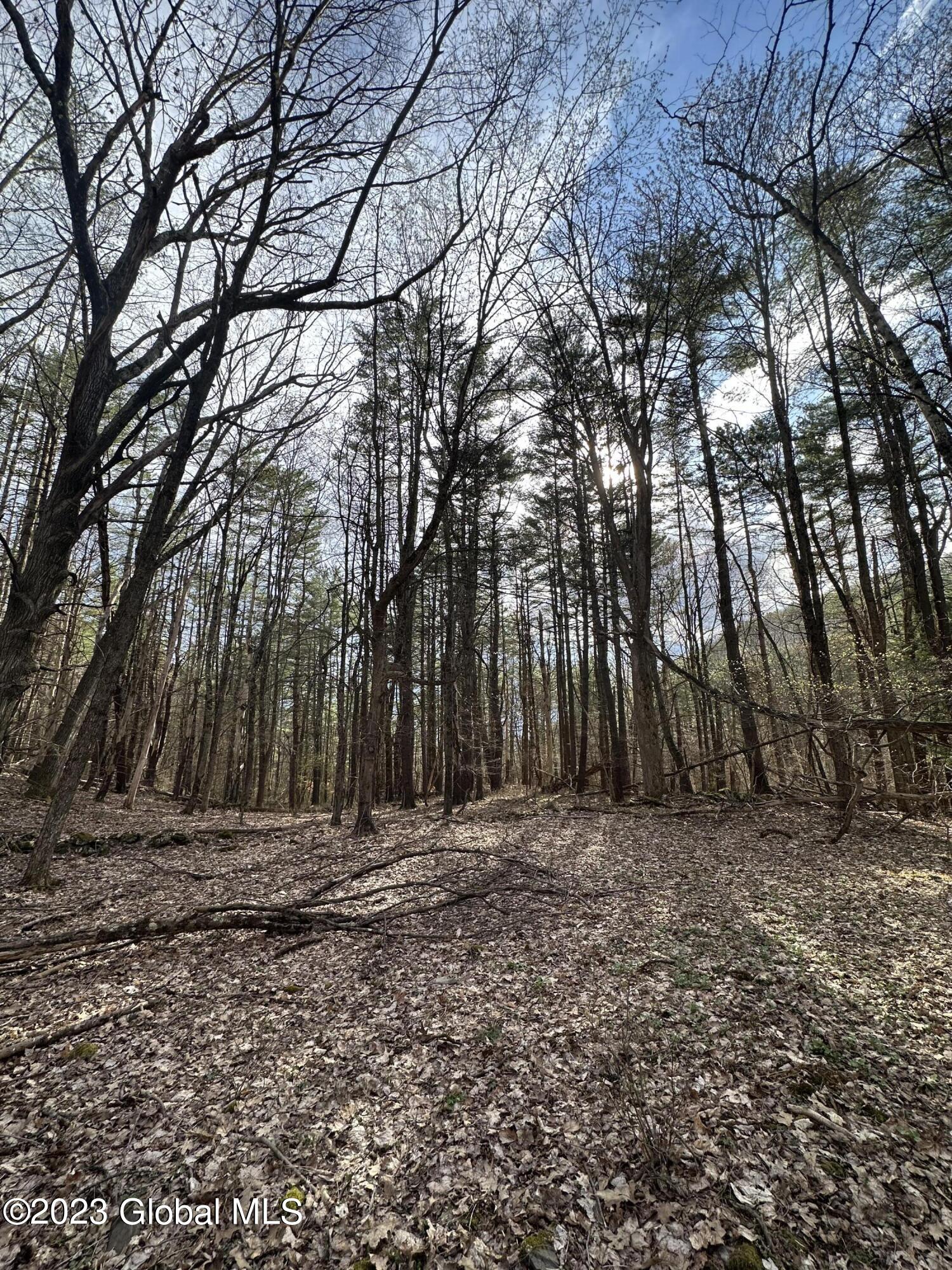 L3 Lower Road Middleburgh, NY 12122 - Photo 2 of 8 5BDC2470-8CC2-4A1E-A3B8-811AFE438FAC