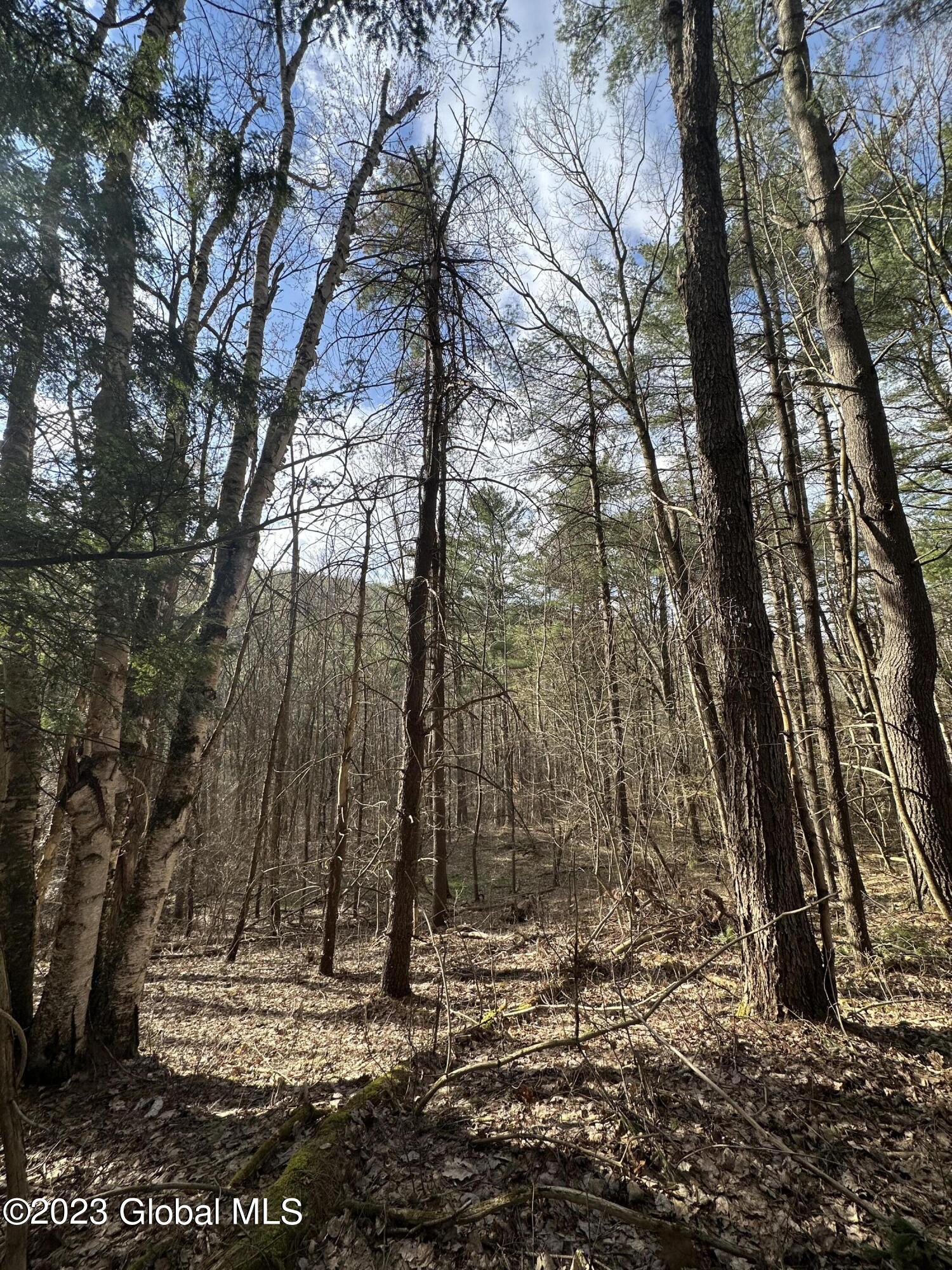 L3 Lower Road Middleburgh, NY 12122 - Photo 3 of 8 A446B97E-A7B7-474E-A469-F5905280E9EB