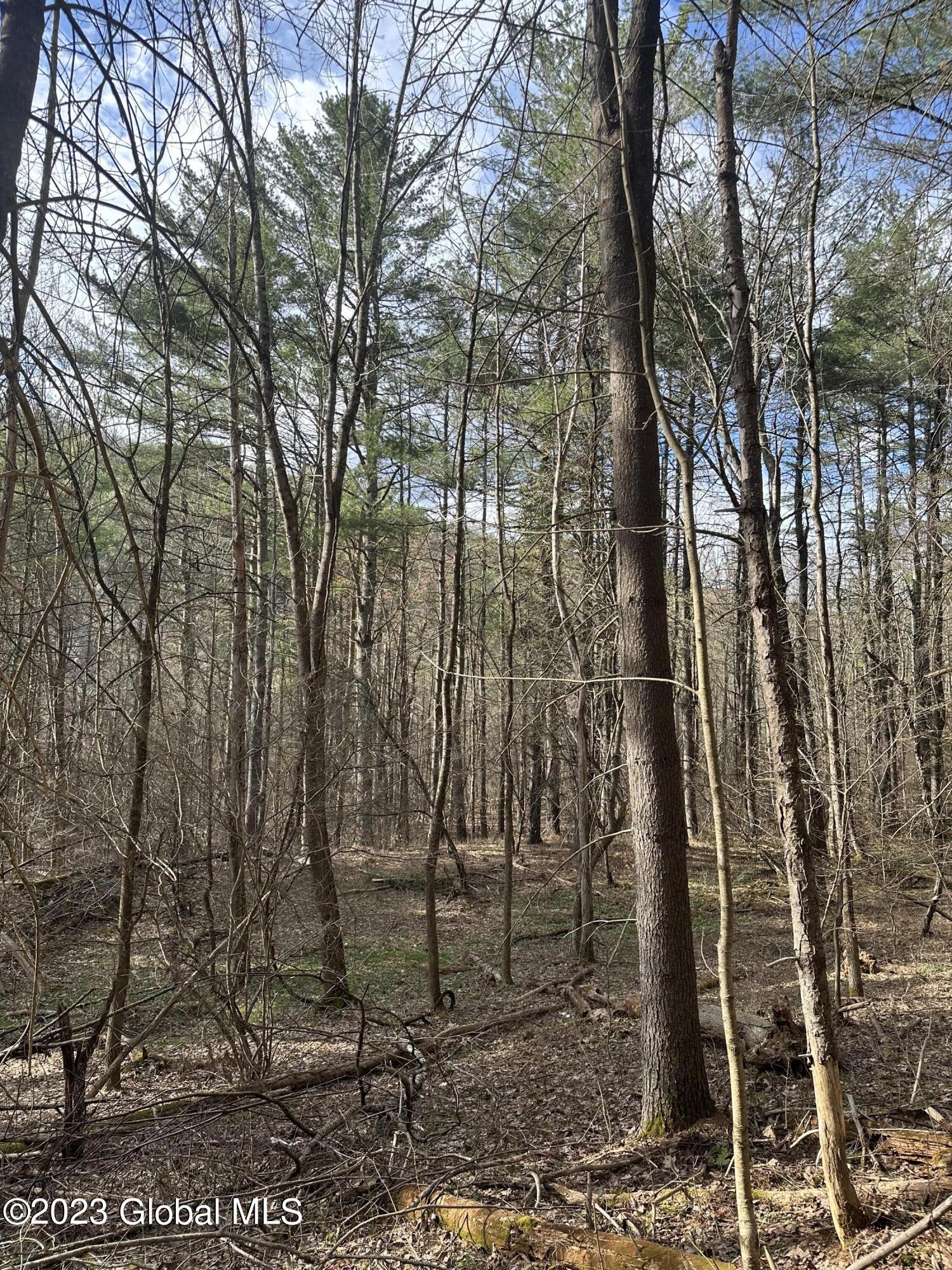L3 Lower Road Middleburgh, NY 12122 - Photo 4 of 8 56A84895-9D20-4C12-86C2-5081803AD59F