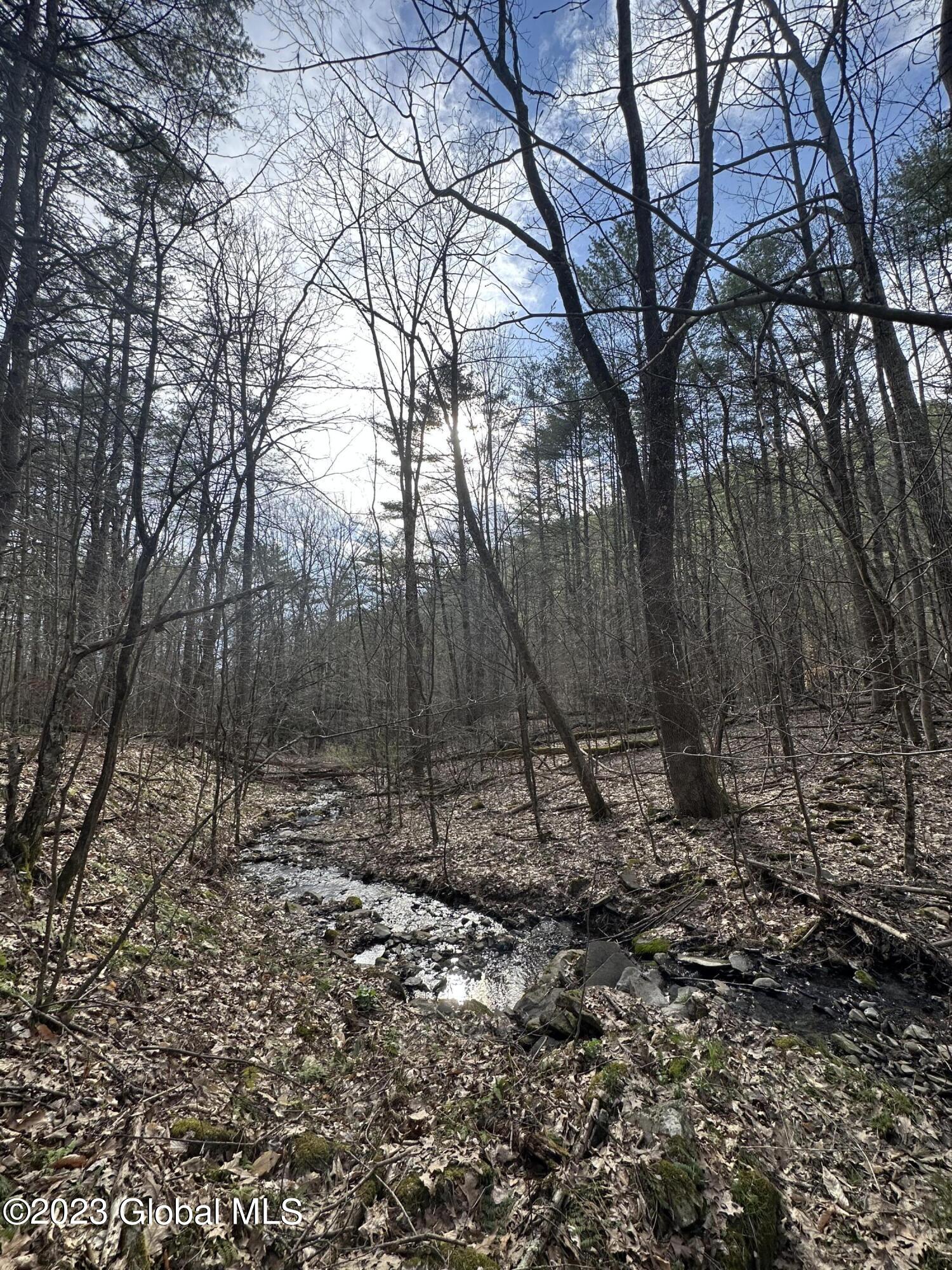 L3 Lower Road Middleburgh, NY 12122 - Photo 5 of 8 53DEC694-EE01-4B15-A564-0BD8FF355458