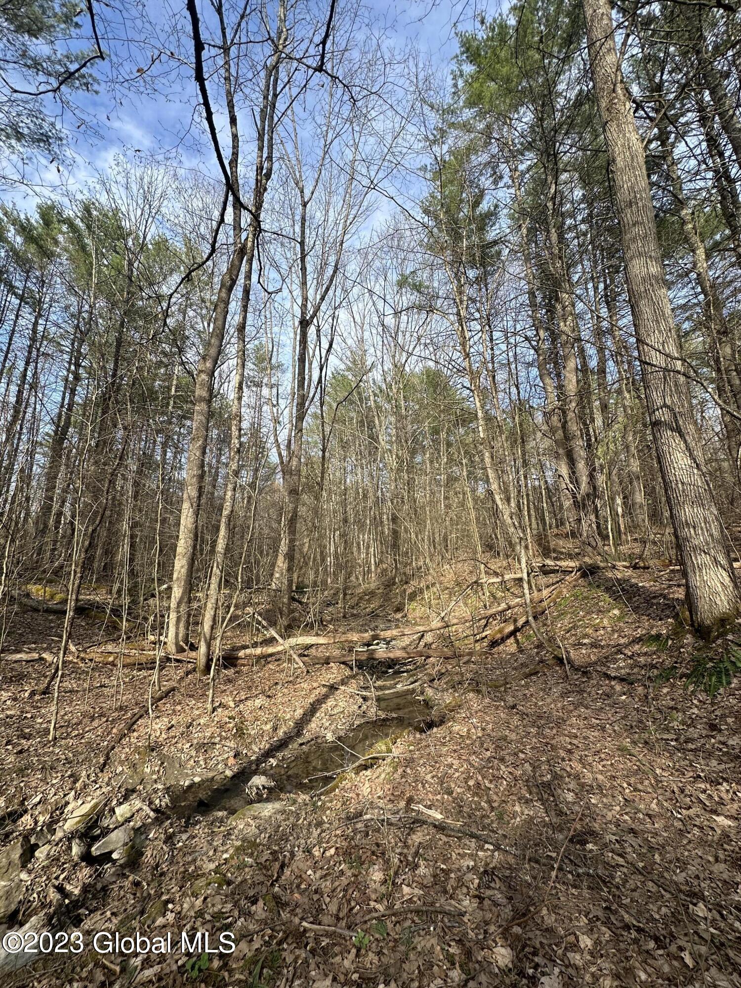 L3 Lower Road Middleburgh, NY 12122 - Photo 6 of 8 0D3BA9D6-7E28-4AF4-8D6B-01CD8F2AE13B