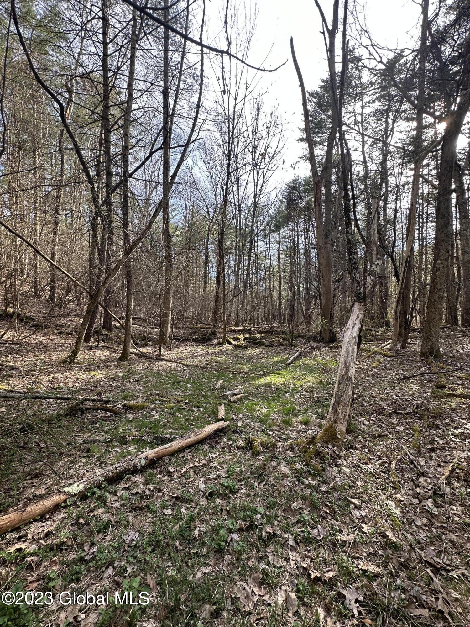 L3 Lower Road Middleburgh, NY 12122 - Photo 8 of 8 62460CC0-B4E0-49FB-A097-CAEBF4B343B3