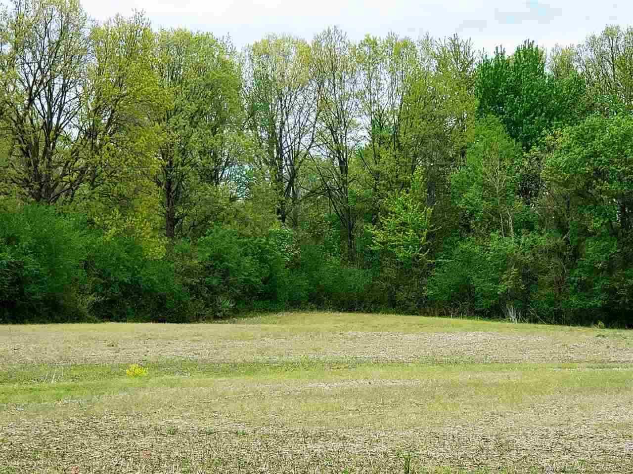 Remainderparcel Omo Road Richmond, MI 48062 - Photo 1 of 3
