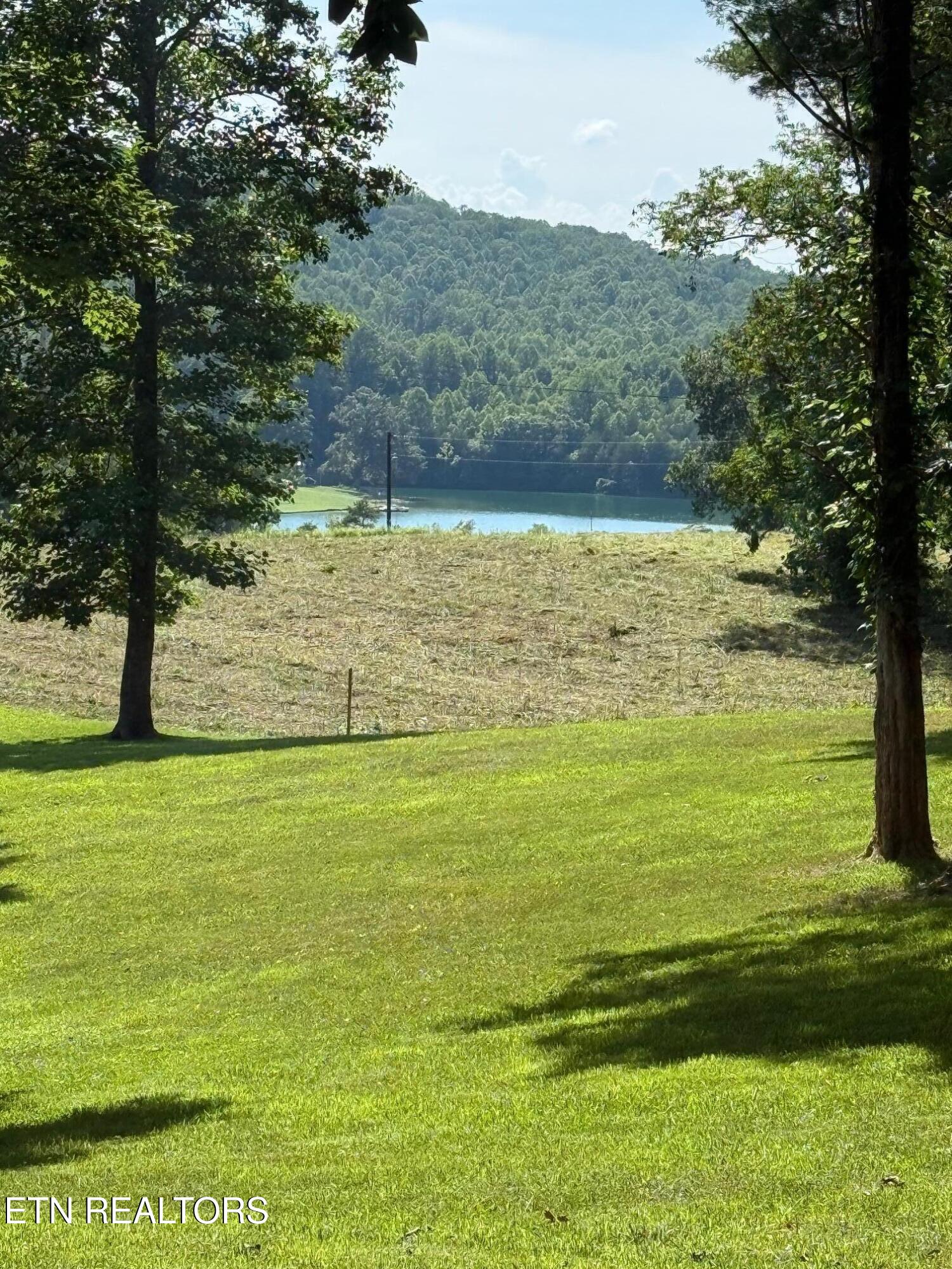 206 Old Leadmine Bend Road Sharps Chapel, TN 37866 - Photo 9 of 38 IMG_3512