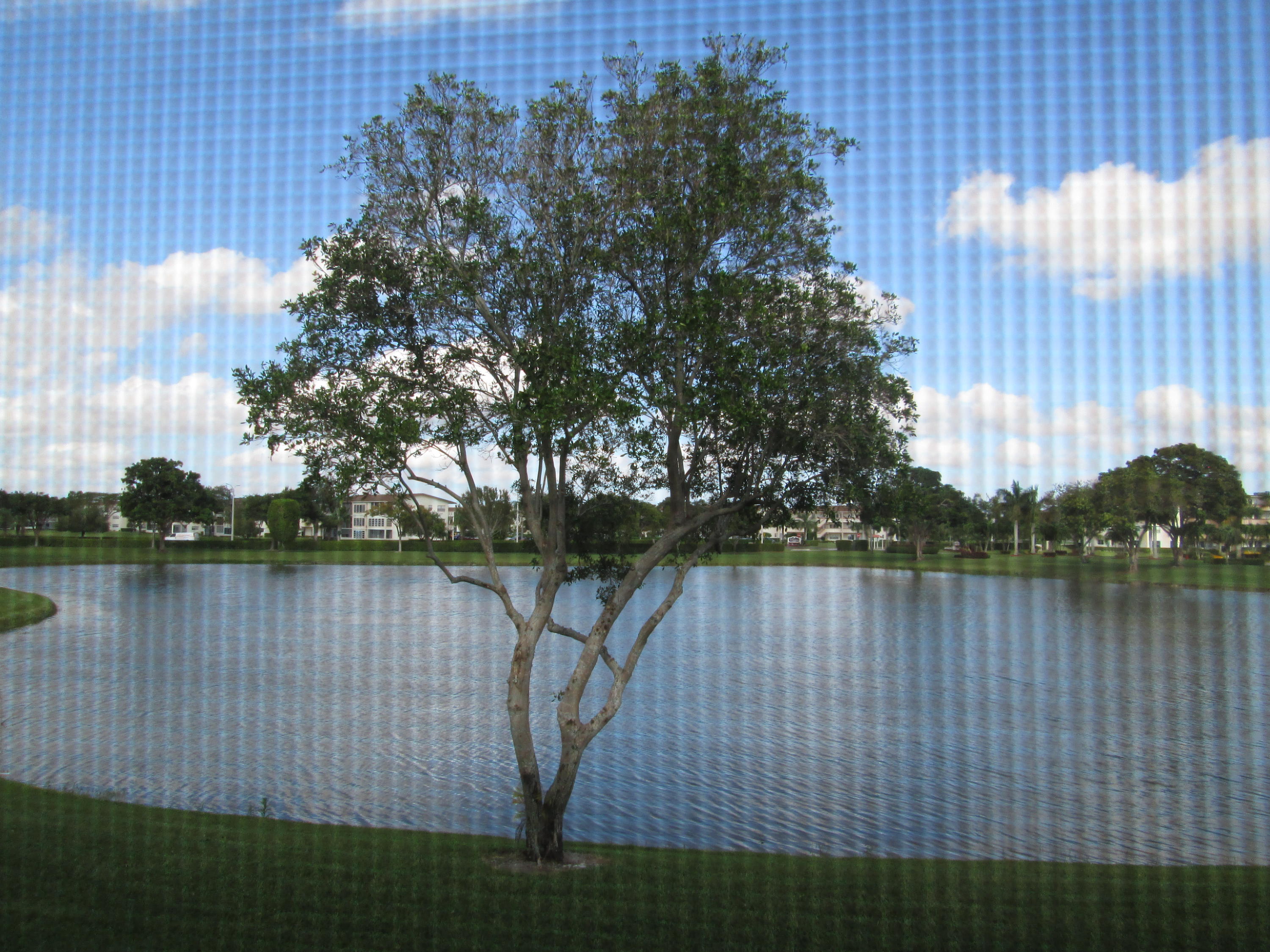 2070 Wolverton East Boca Raton, FL 33434 - Photo 12 of 14 serene view