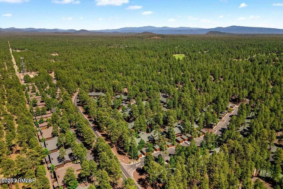 2522 Village Loop Pinetop, AZ 85935 - Photo 31 of 38 a view of an ocean from a yard