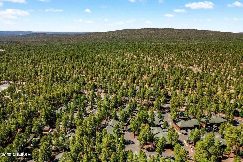 2522 Village Loop Pinetop, AZ 85935 - Photo 32 of 38 a view of a city with lush green forest