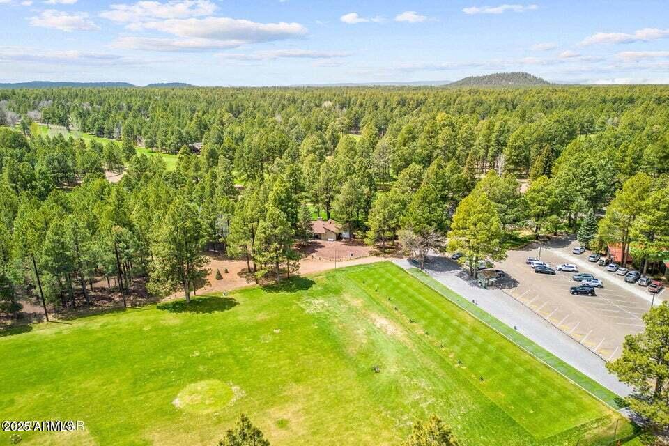 2522 Village Loop Pinetop, AZ 85935 - Photo 34 of 38 a view of a yard with an outdoor seating