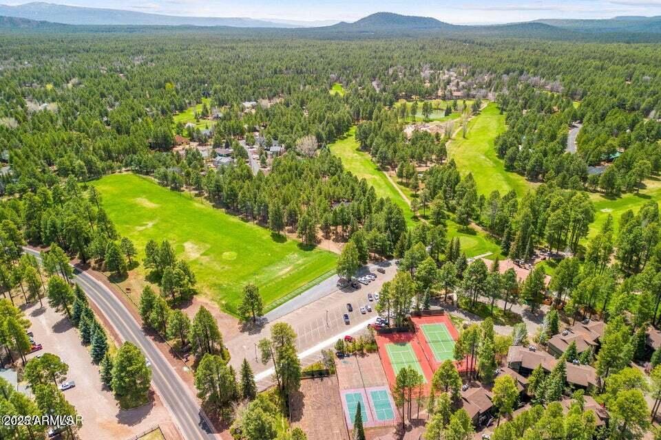 2522 Village Loop Pinetop, AZ 85935 - Photo 35 of 38 an aerial view of residential houses with outdoor space and trees